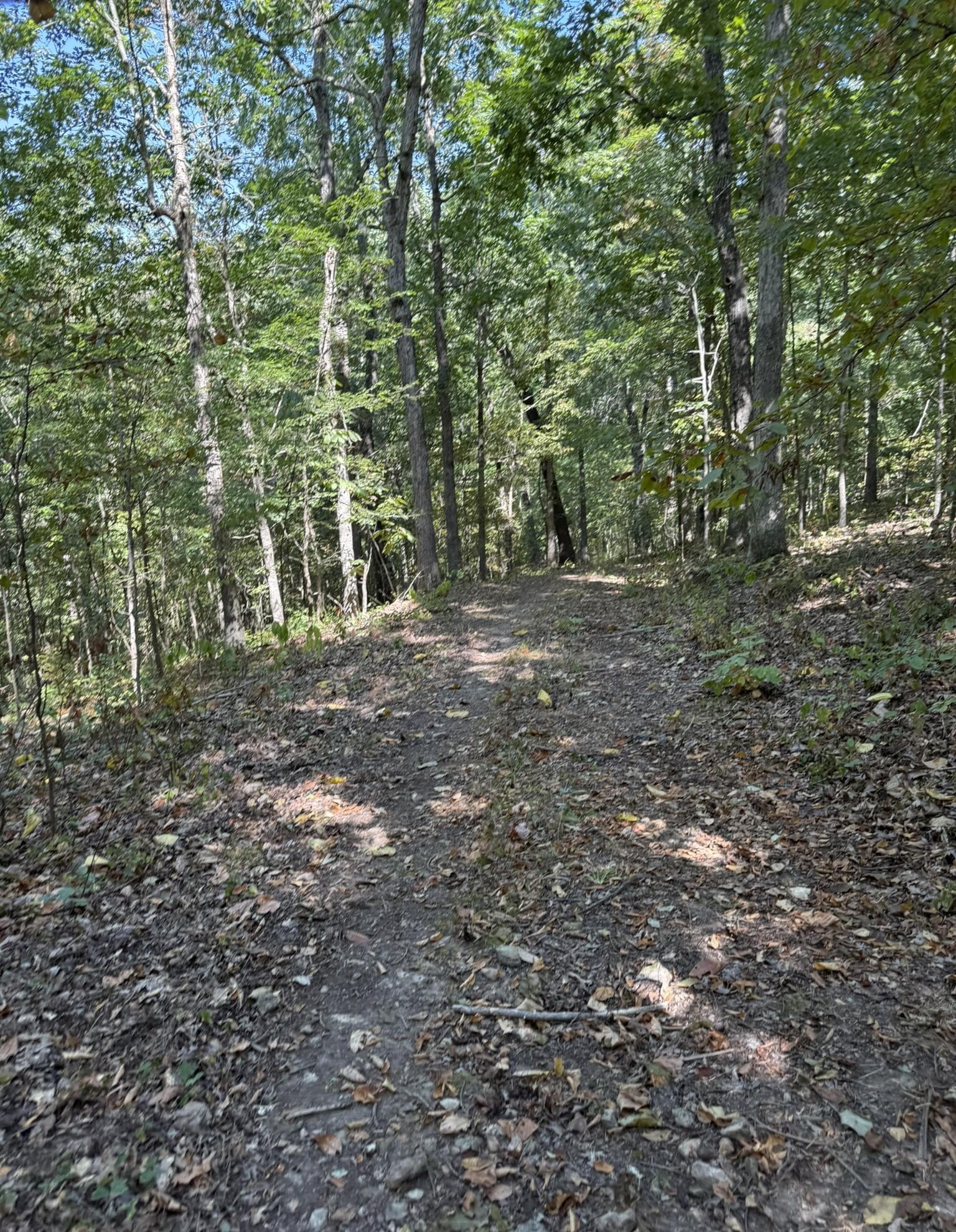 Photo 11 - Vacant Land for sale – 122A  Williamson Trail   Guion, AR