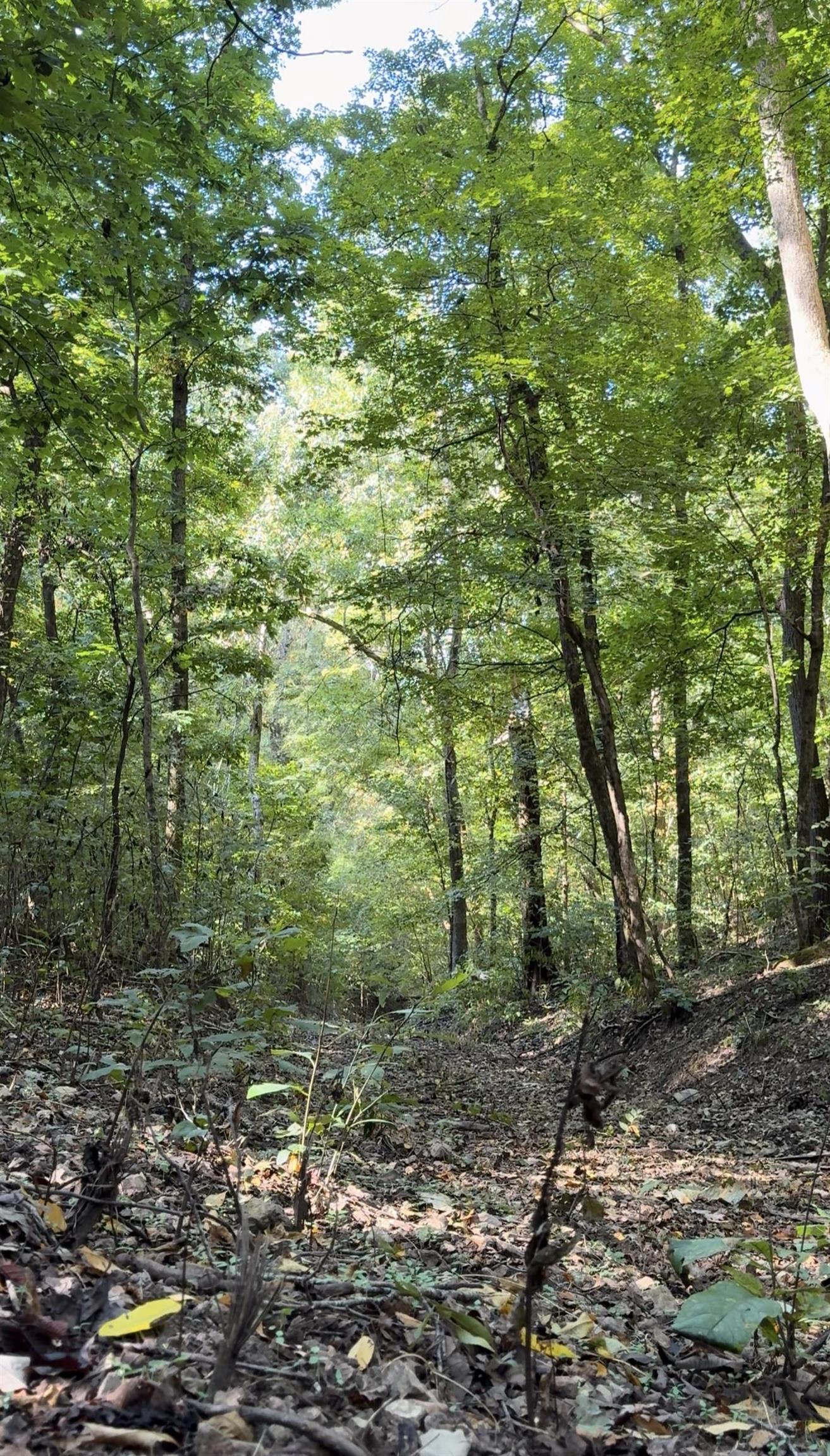 Photo 13 - Vacant Land for sale – 122A  Williamson Trail   Guion, AR