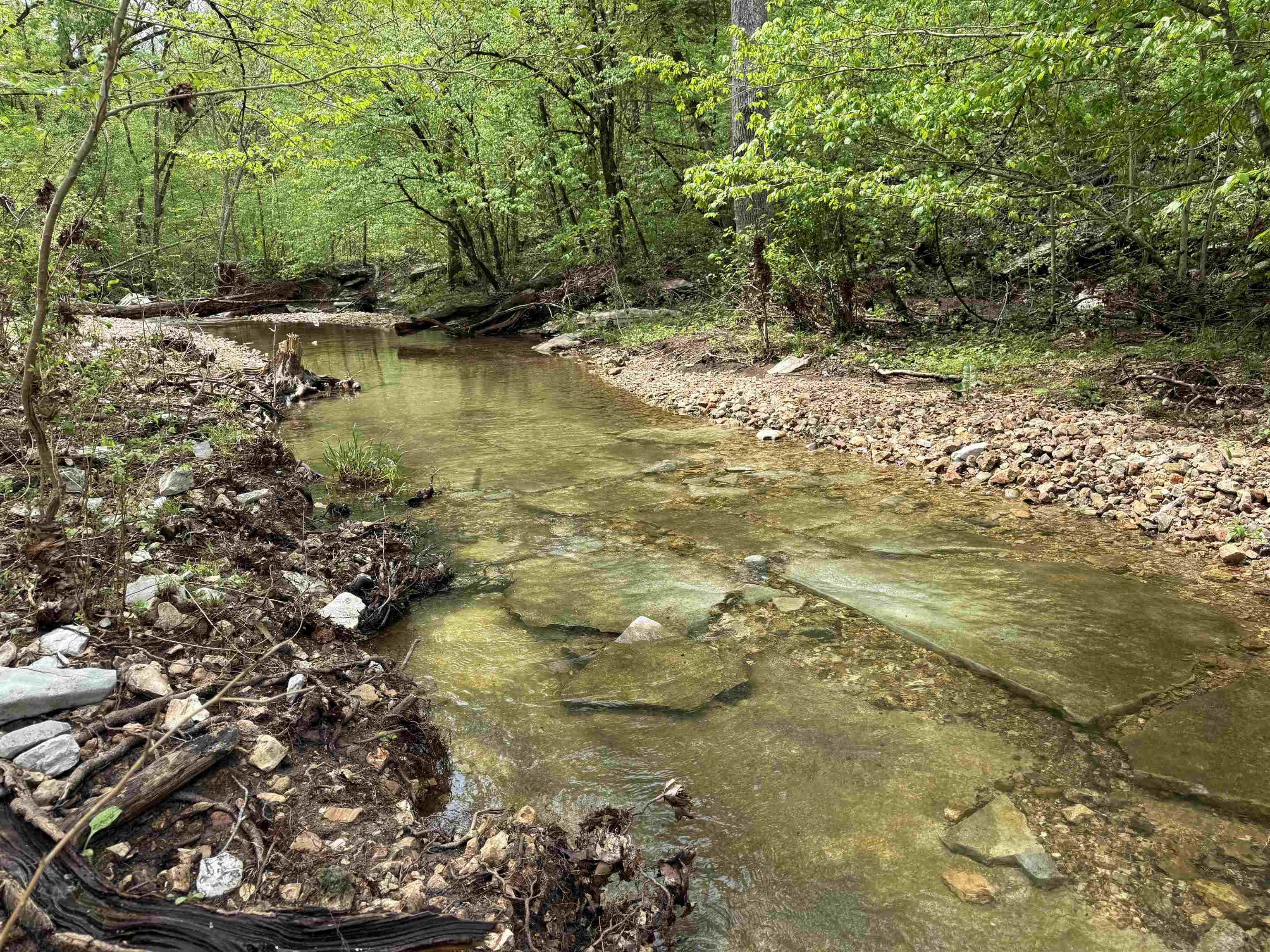 Photo 14 - Vacant Land for sale – 122A  Williamson Trail   Guion, AR