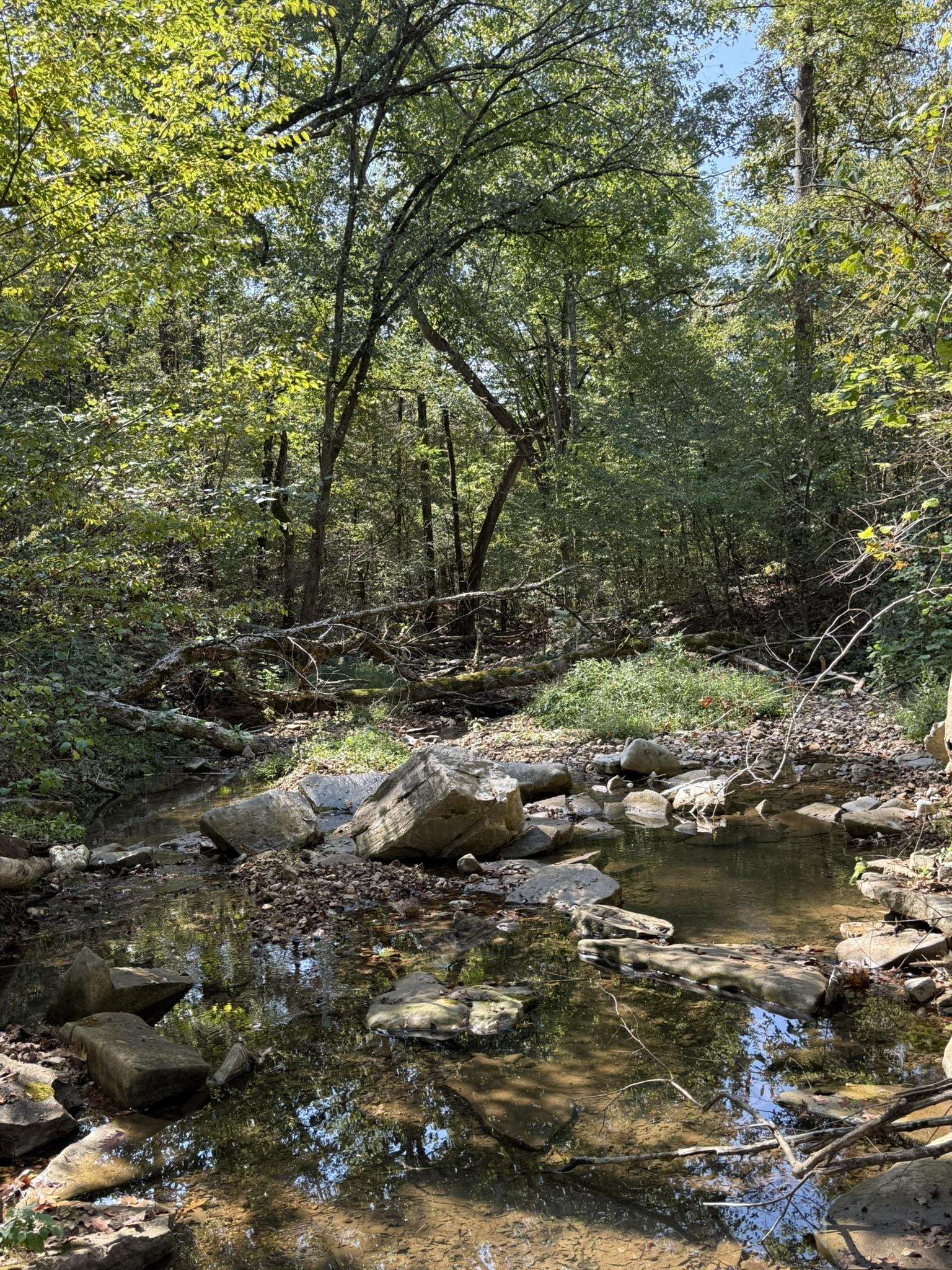 Photo 15 - Vacant Land for sale – 122A  Williamson Trail   Guion, AR