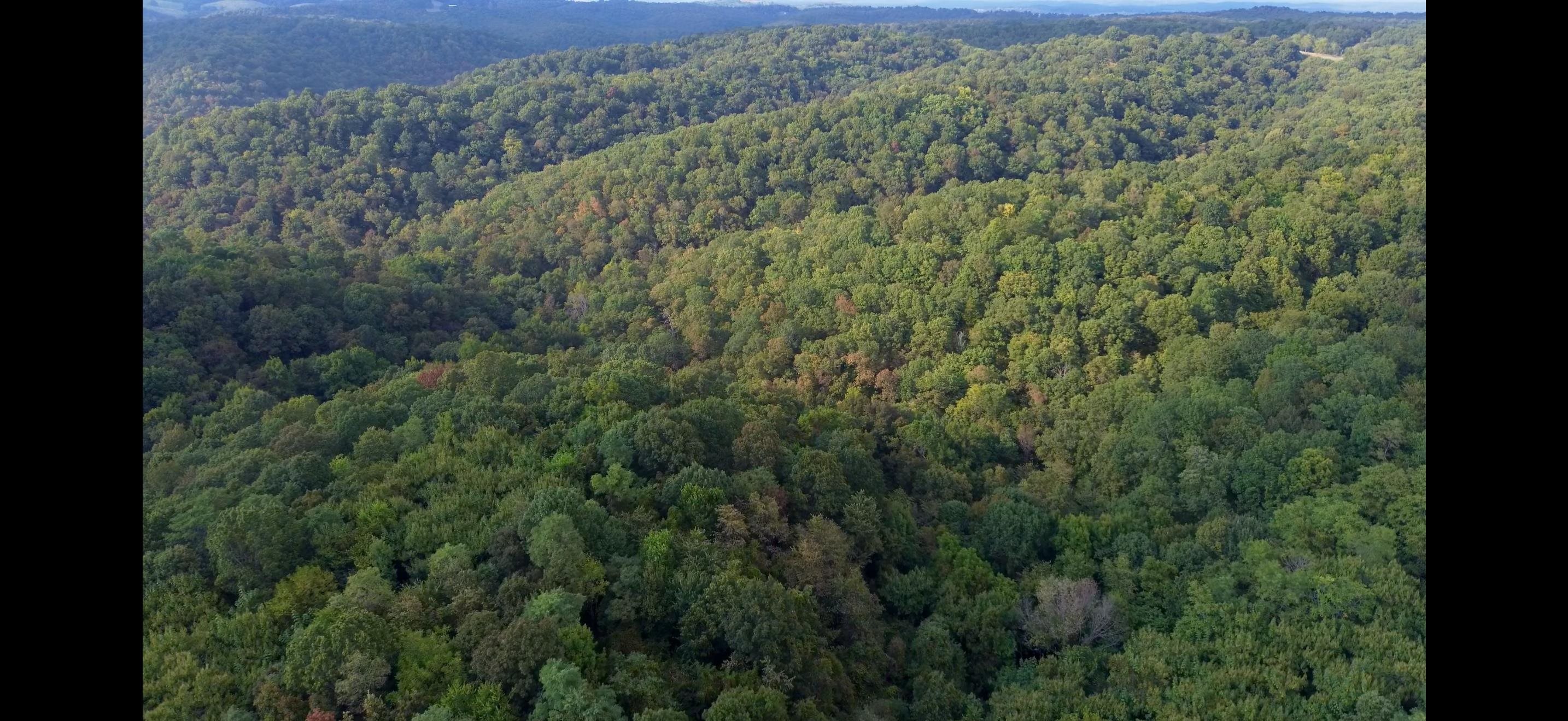 Photo 3 - Vacant Land for sale – 122A  Williamson Trail   Guion, AR