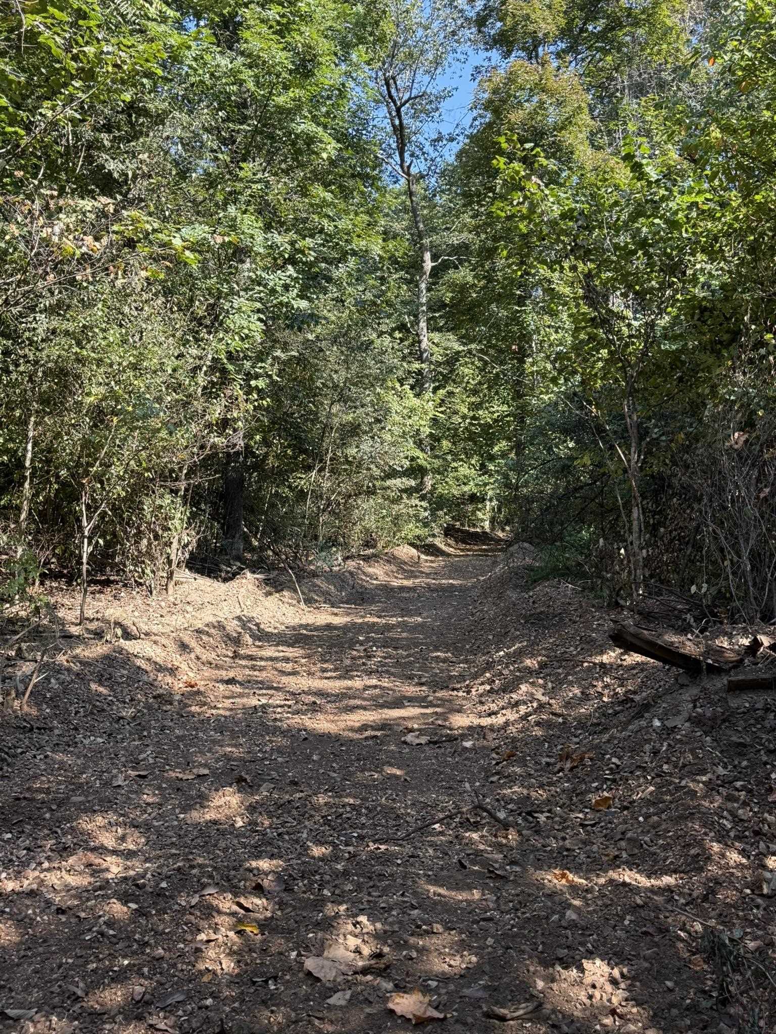 Photo 7 - Vacant Land for sale – 122A  Williamson Trail   Guion, AR