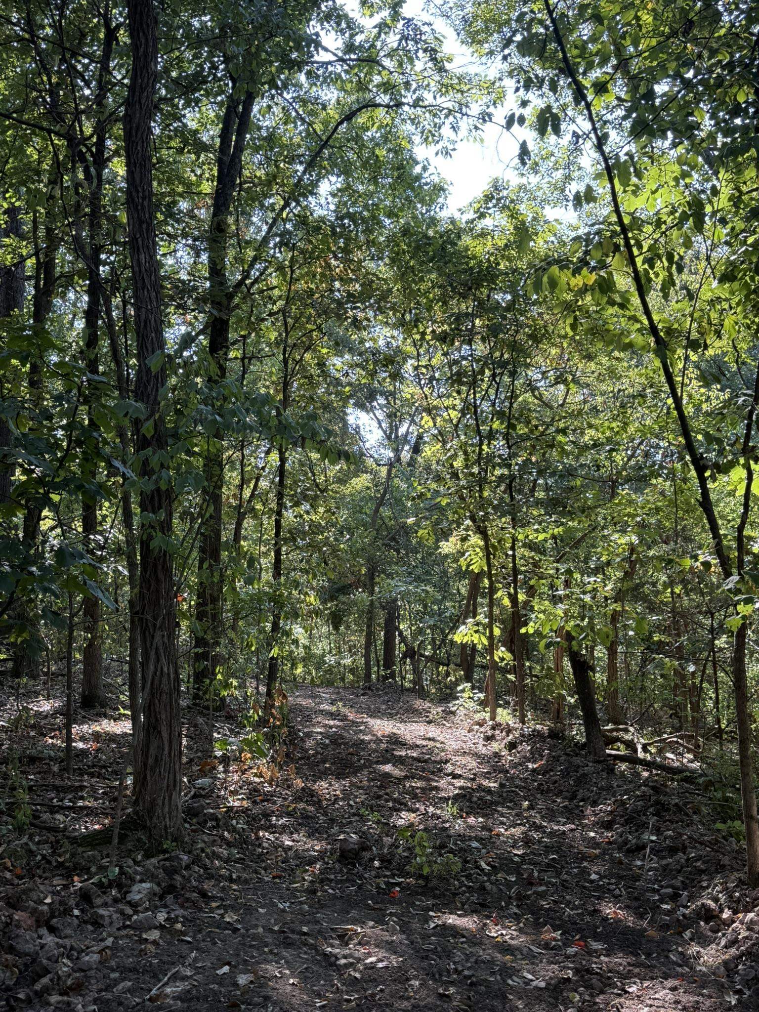 Photo 8 - Vacant Land for sale – 122A  Williamson Trail   Guion, AR