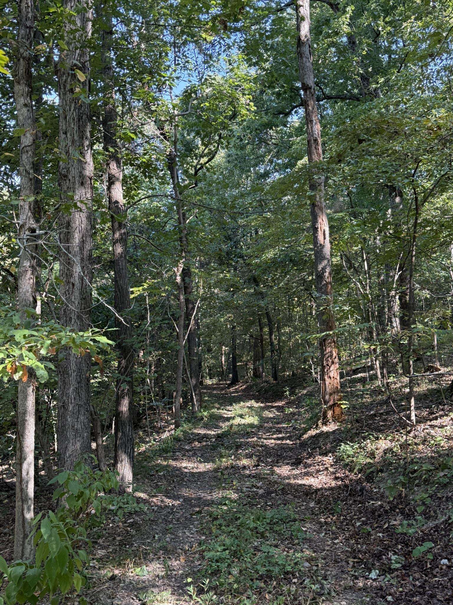 Photo 9 - Vacant Land for sale – 122A  Williamson Trail   Guion, AR