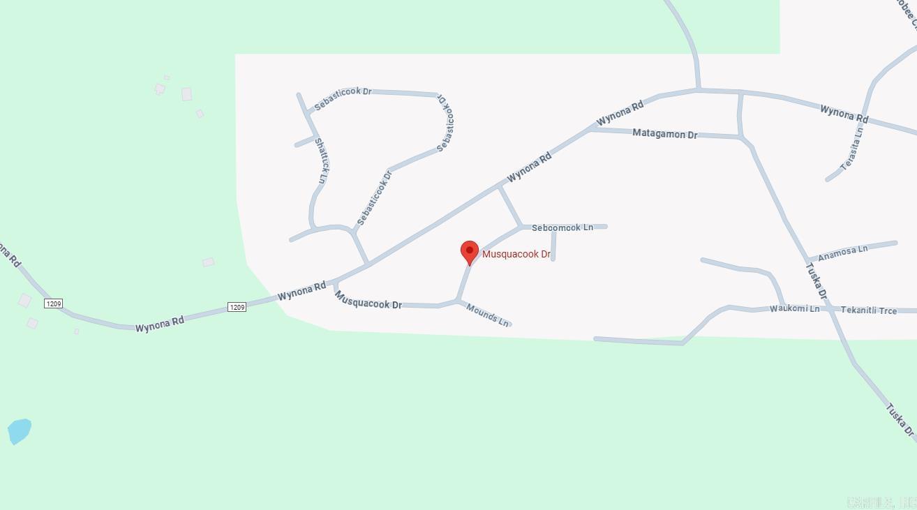 Photo 3 - Vacant Land for sale – Lot 8  Musquacook   Cherokee Village, AR