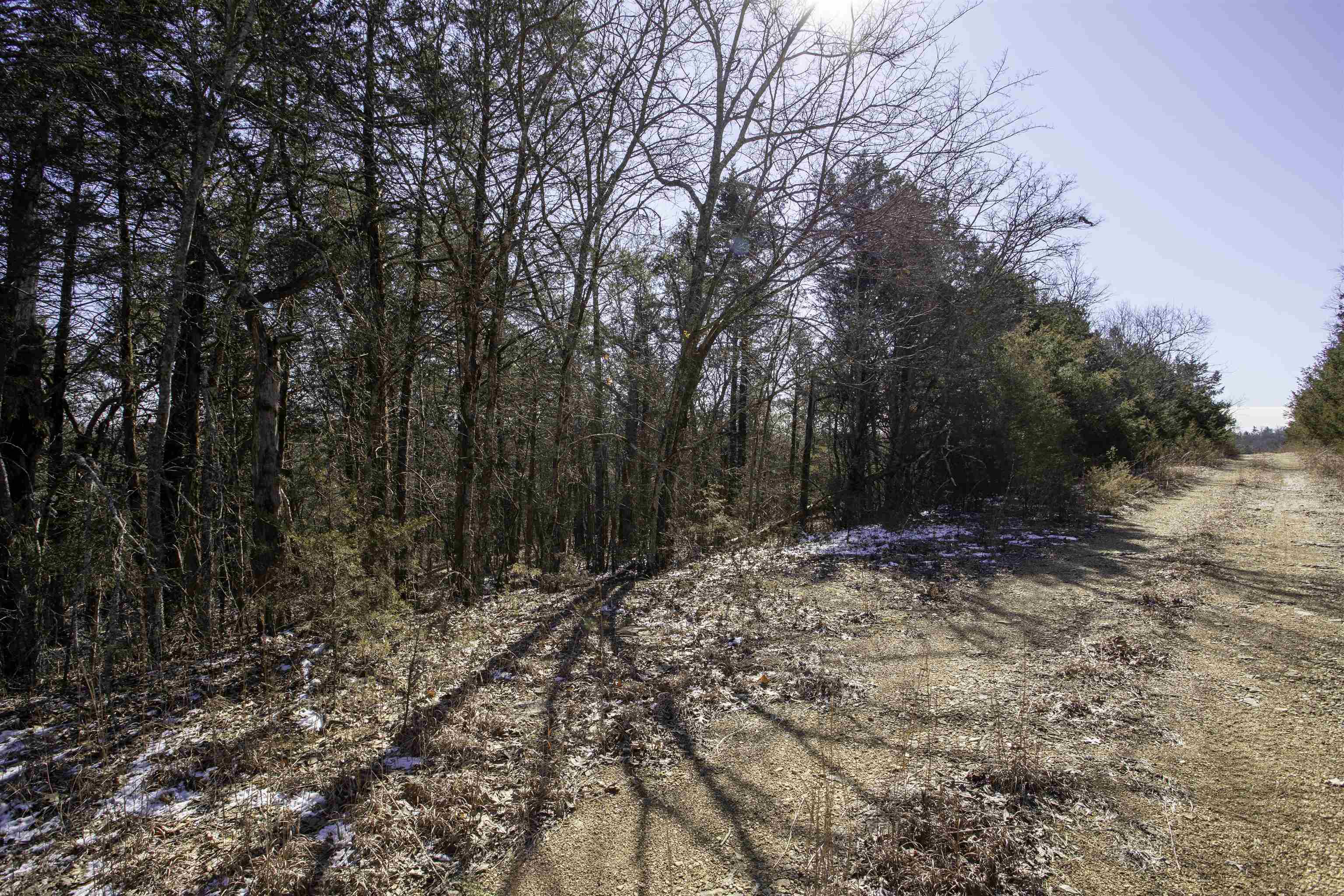 Vacant Land for sale – Lot 73  Big Buck   Williford, AR