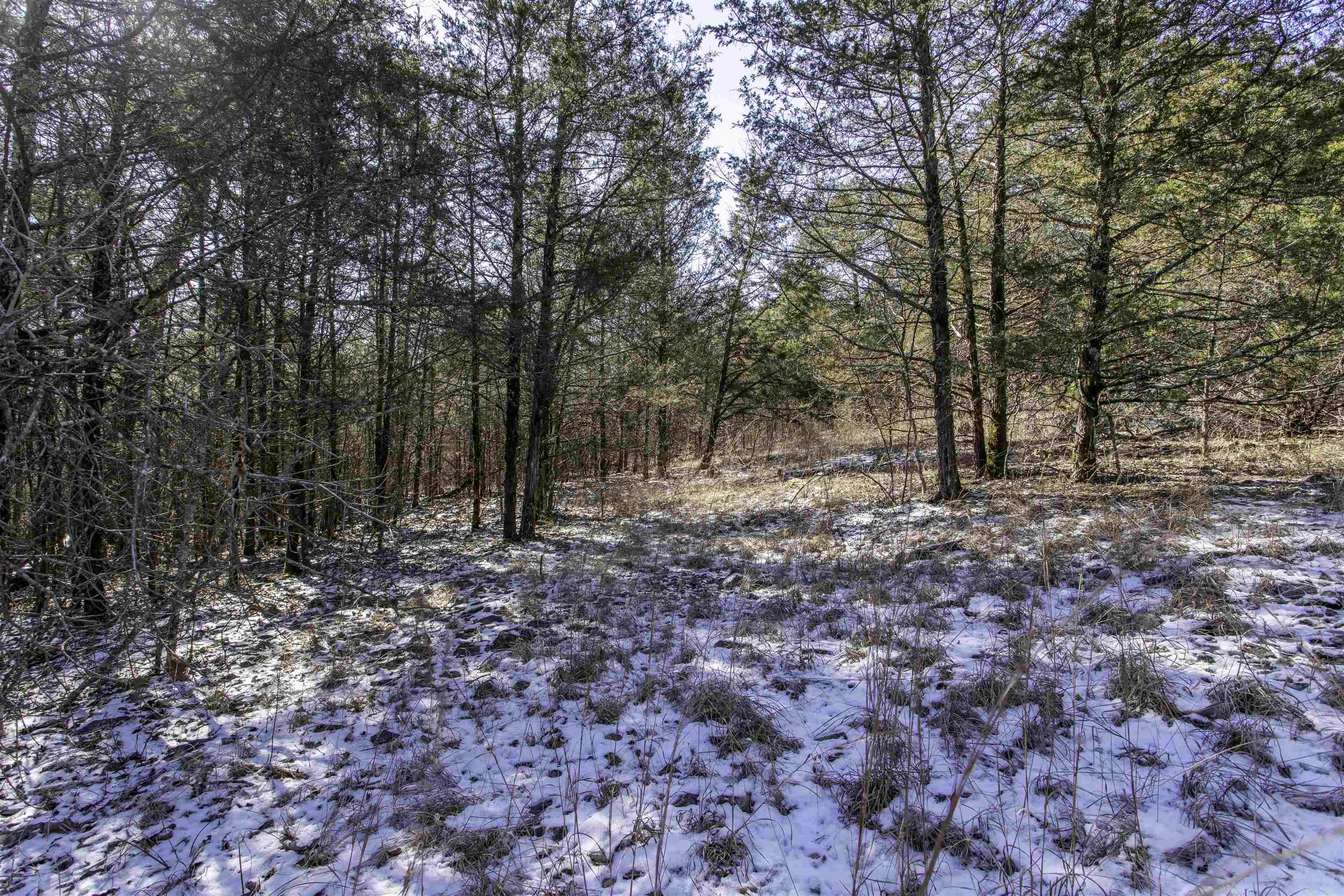 Photo 2 - Vacant Land for sale – Lot 73  Big Buck   Williford, AR