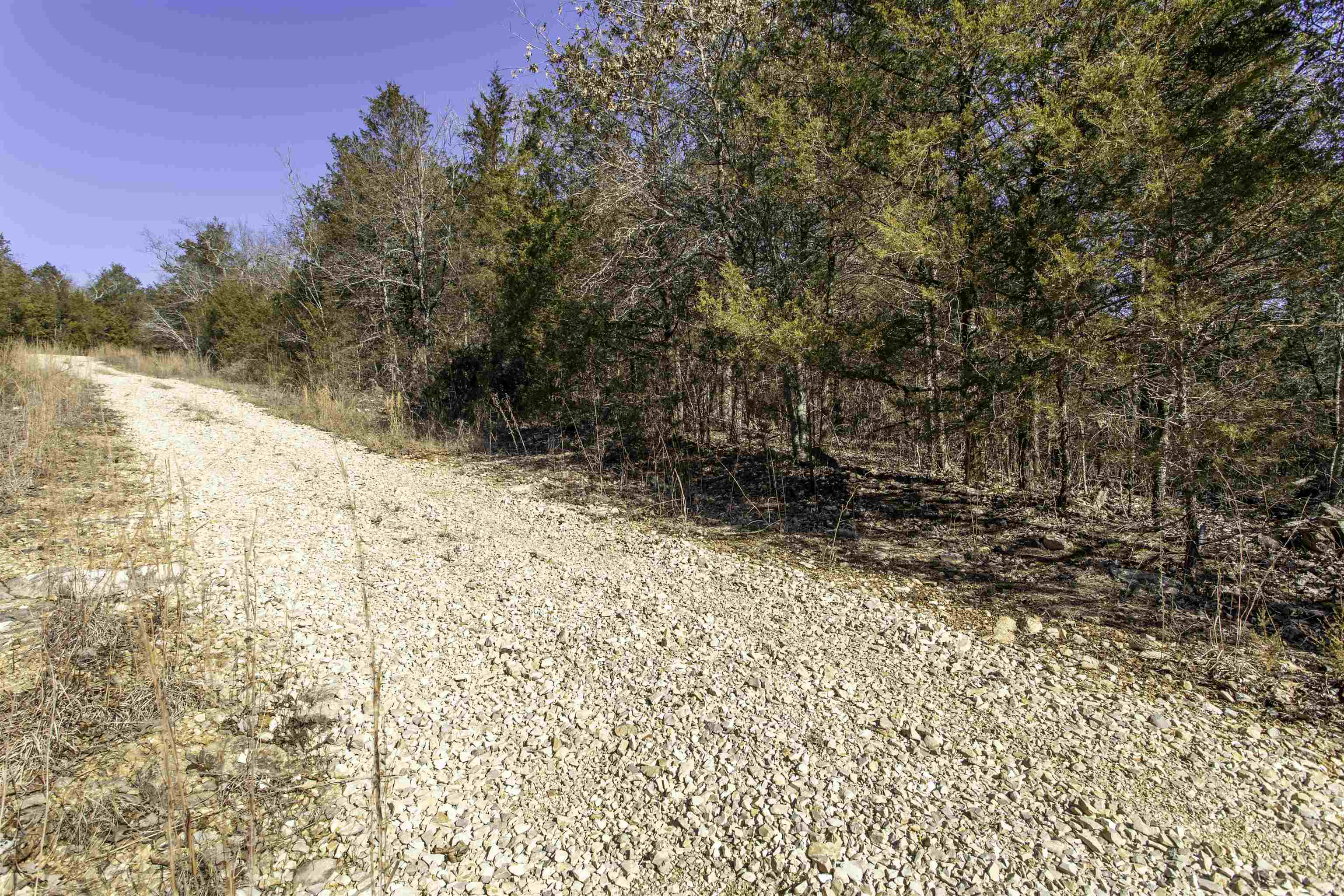 Photo 3 - Vacant Land for sale – Lot 73  Big Buck   Williford, AR