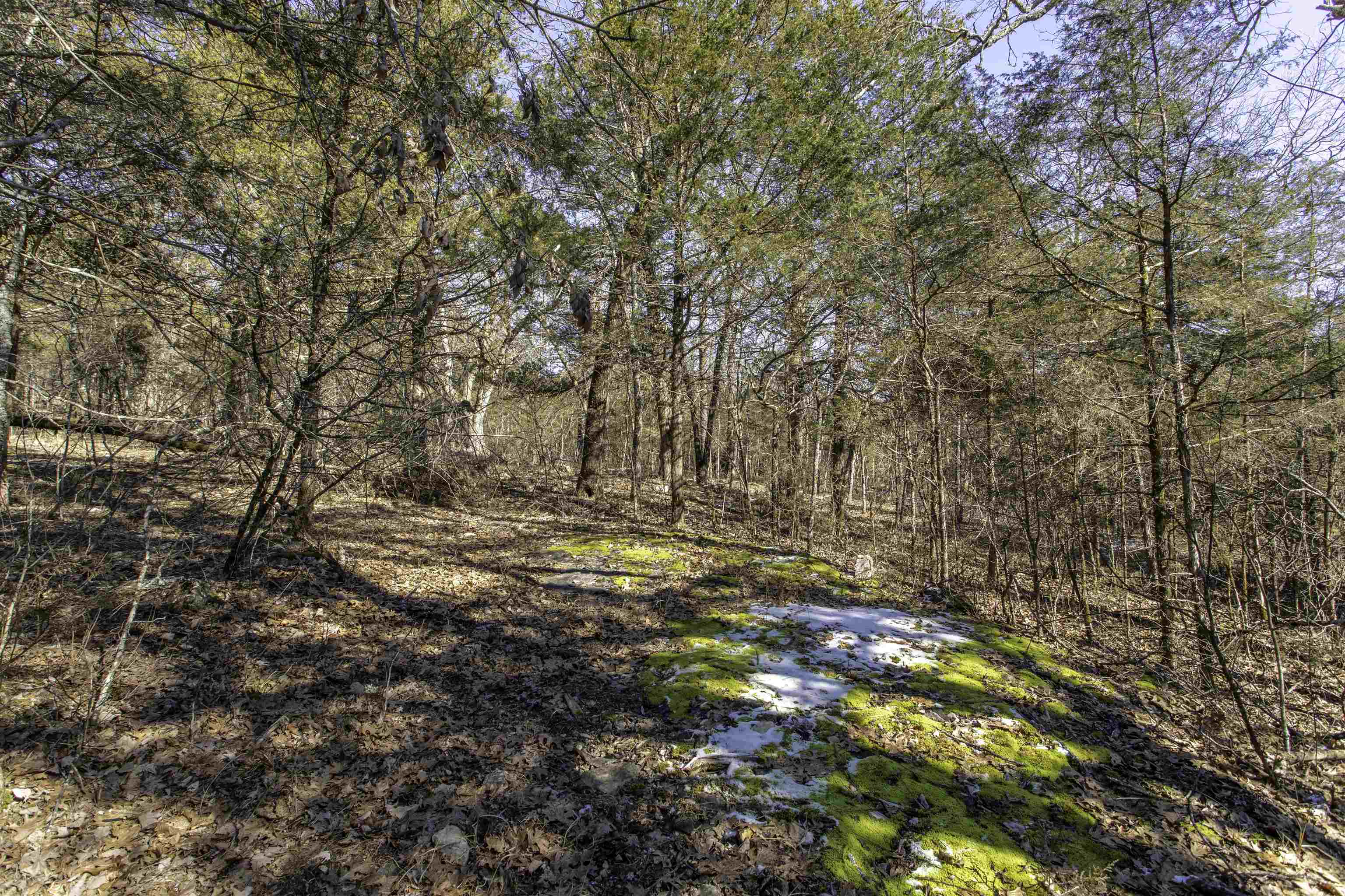 Photo 5 - Vacant Land for sale – Lot 73  Big Buck   Williford, AR