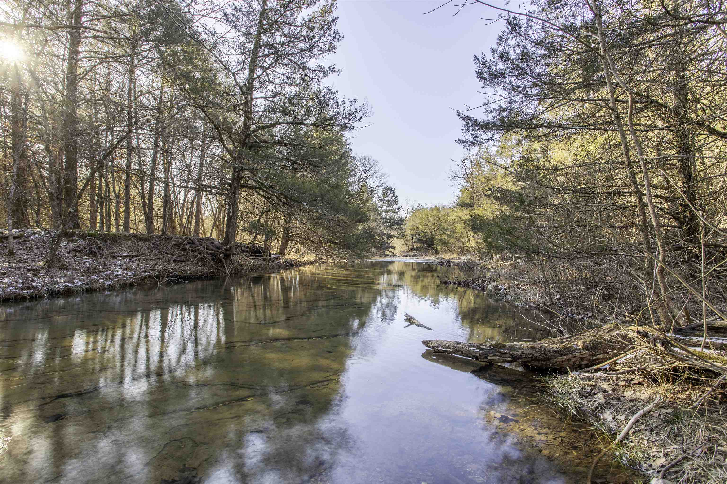 Photo 6 - Vacant Land for sale – Lot 73  Big Buck   Williford, AR