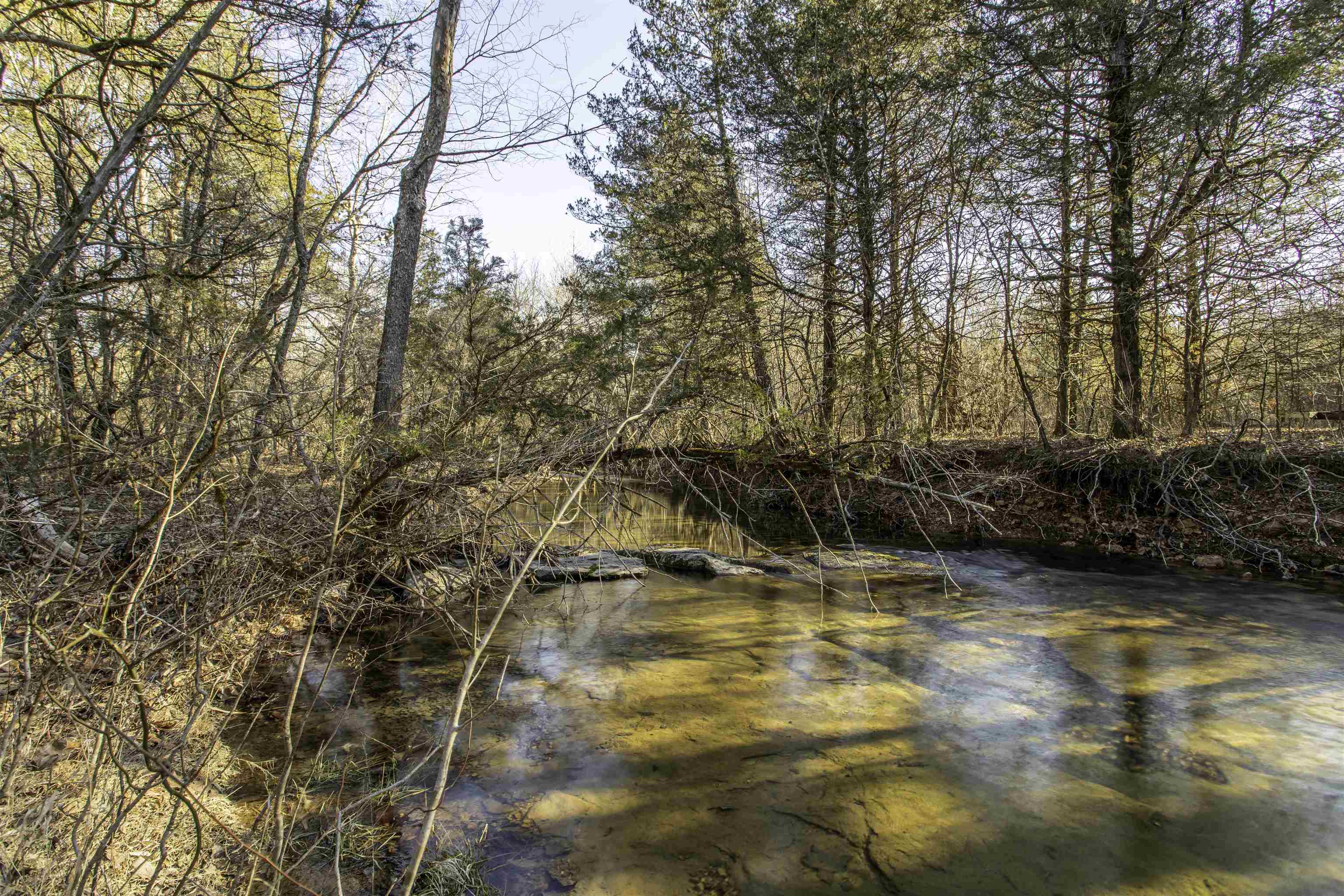 Photo 7 - Vacant Land for sale – Lot 73  Big Buck   Williford, AR