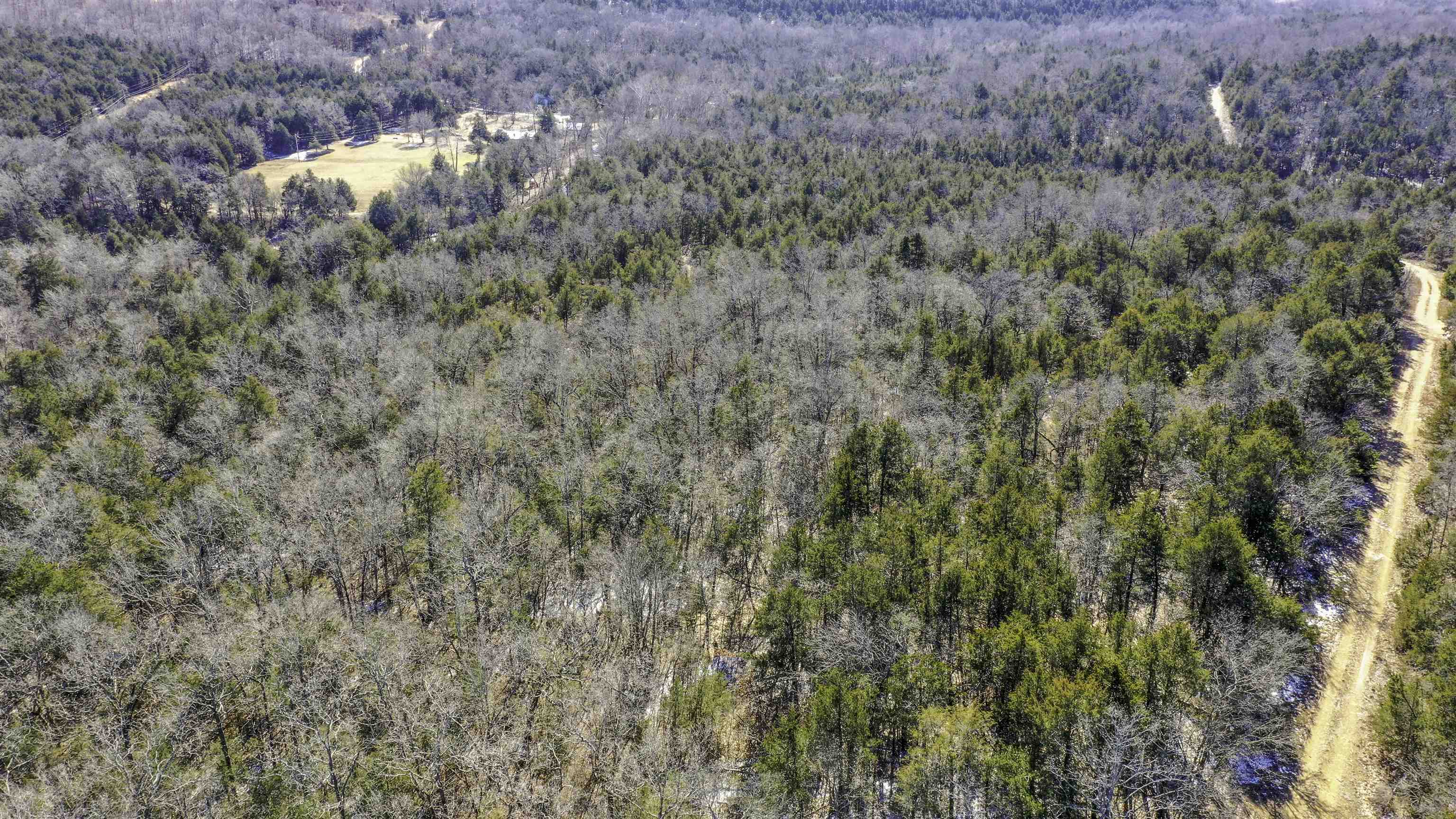Photo 8 - Vacant Land for sale – Lot 73  Big Buck   Williford, AR