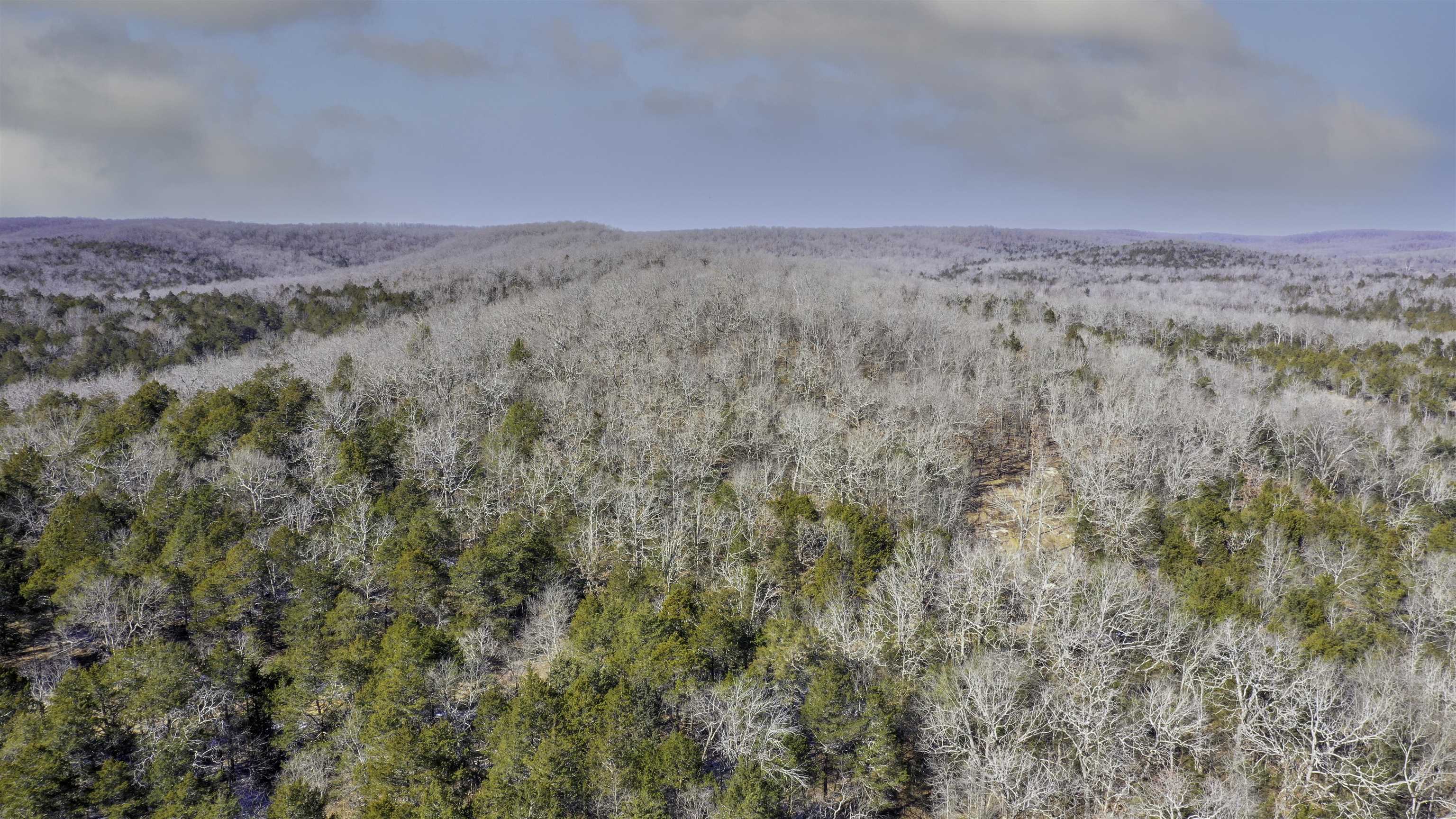 Photo 10 - Vacant Land for sale – Lot 73  Big Buck   Williford, AR