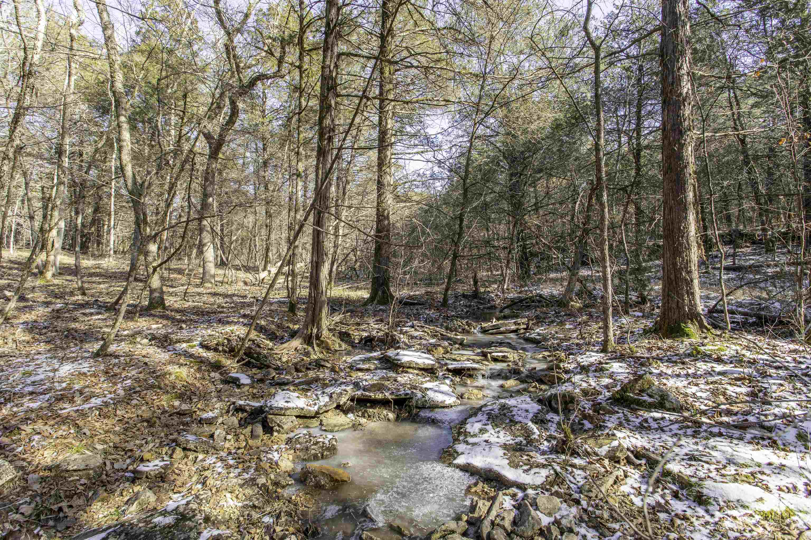 Photo 3 - Vacant Land for sale – Lot 21  Fawn Ridge Ln   Williford, AR