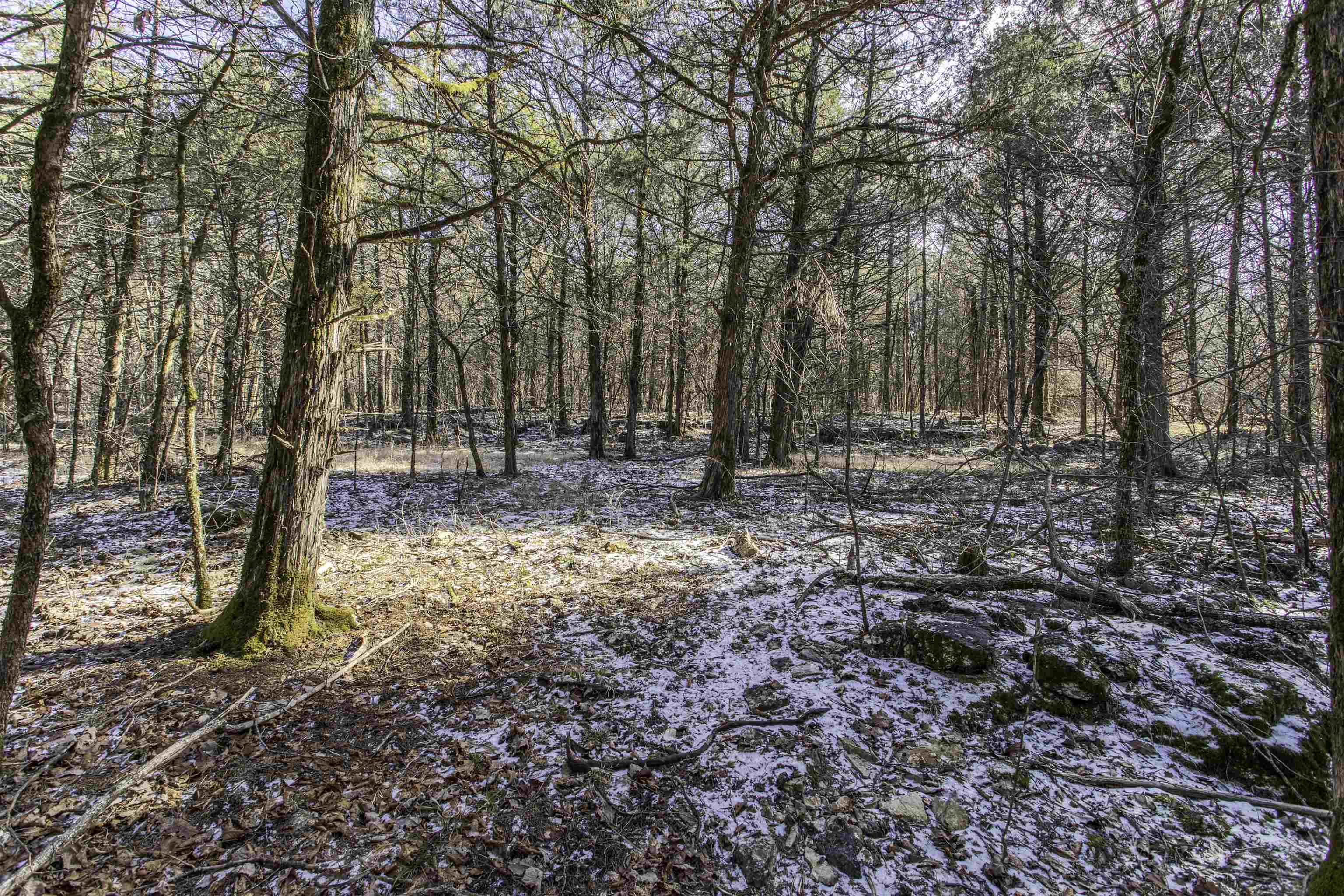 Photo 4 - Vacant Land for sale – Lot 21  Fawn Ridge Ln   Williford, AR