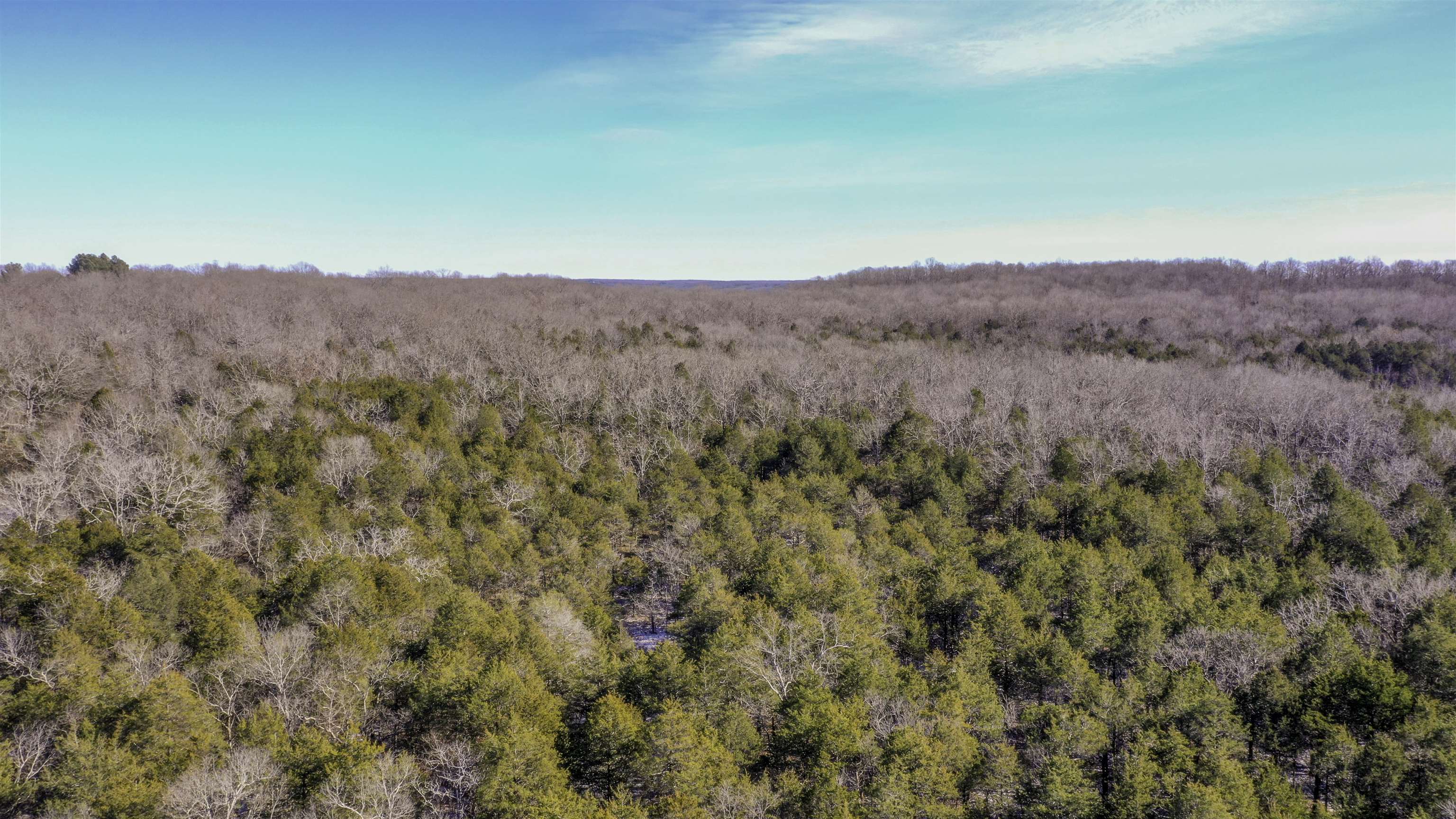Photo 6 - Vacant Land for sale – Lot 21  Fawn Ridge Ln   Williford, AR