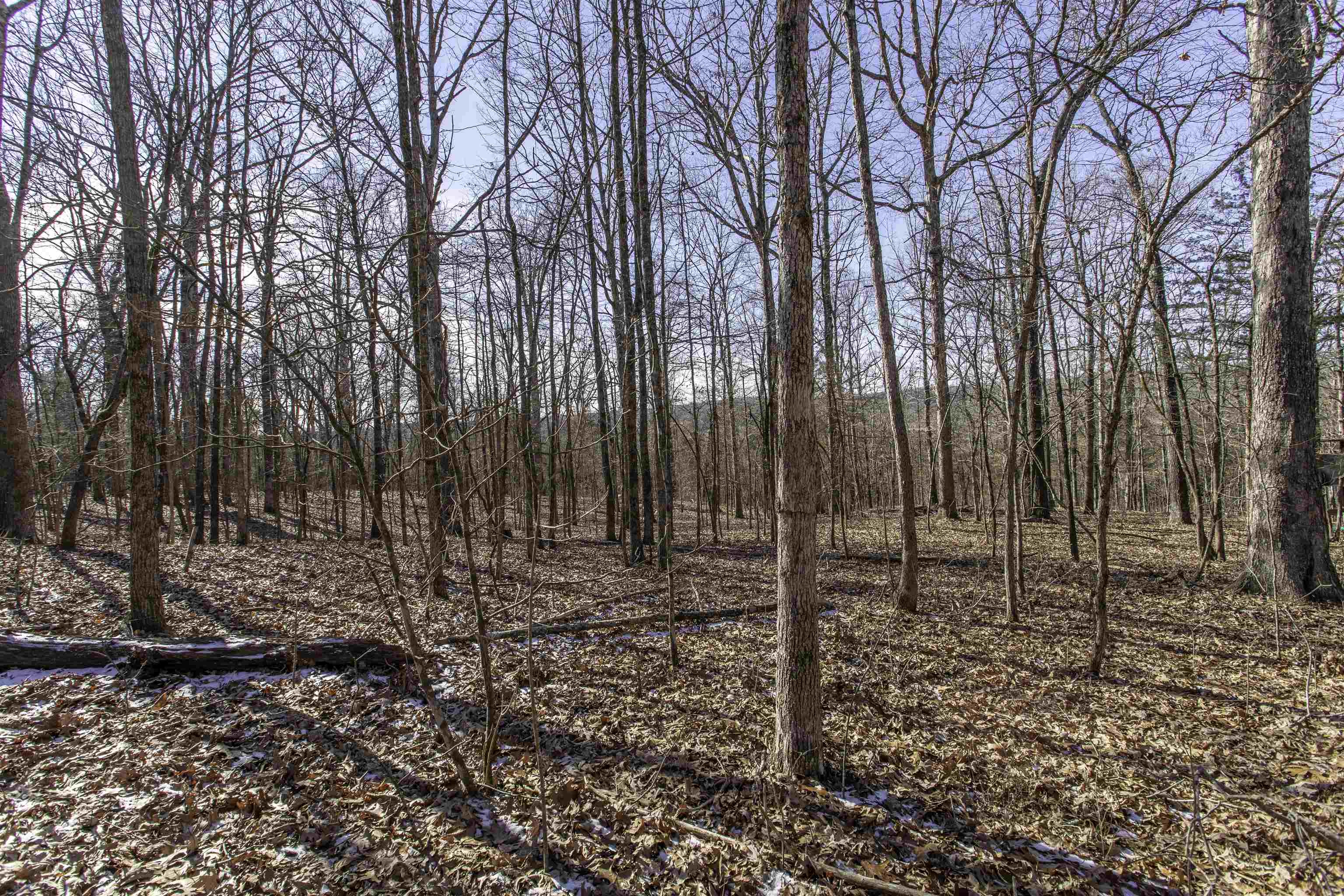 Vacant Land for sale – Lot 64  Big Buck   Williford, AR