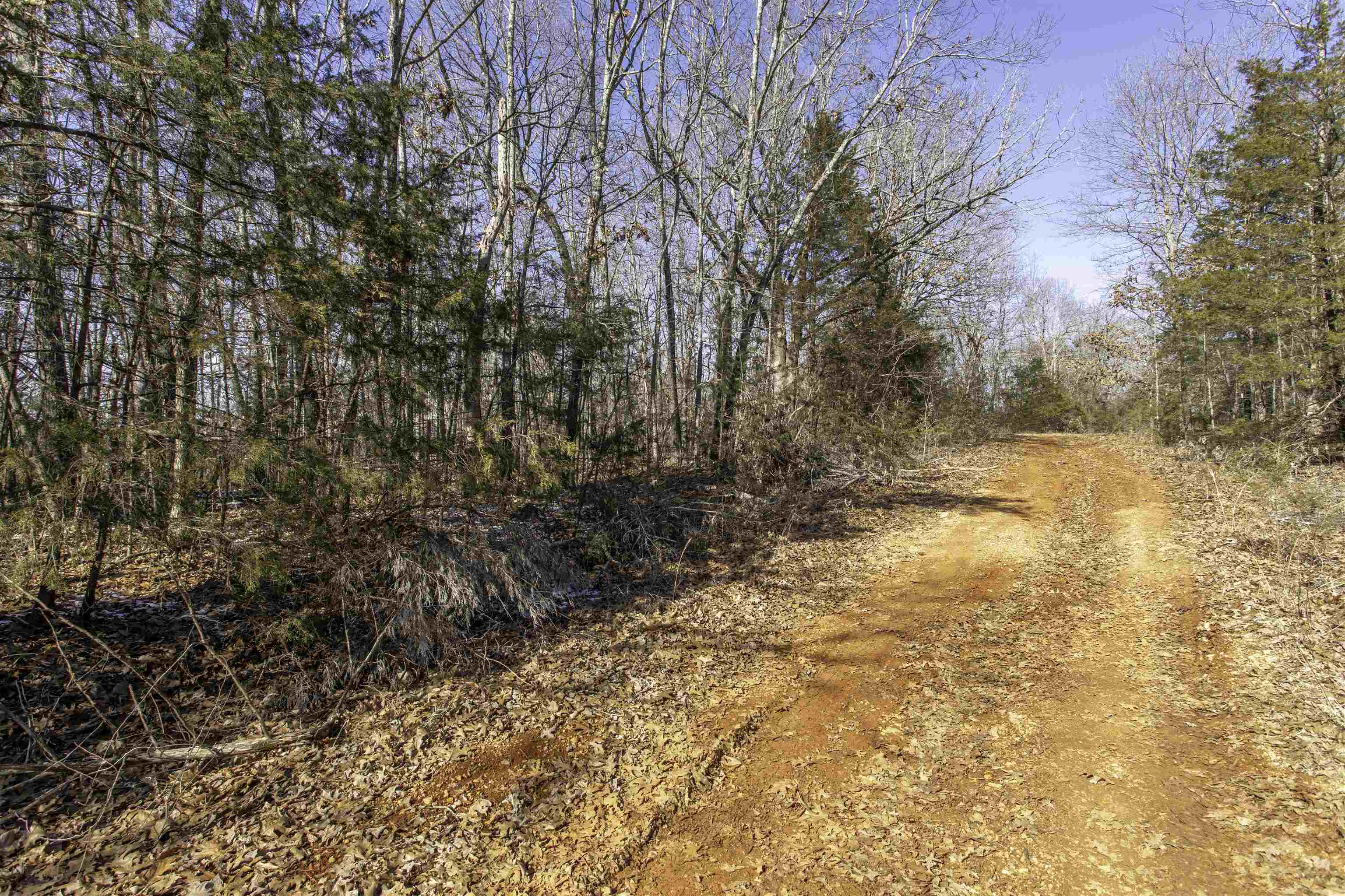 Photo 2 - Vacant Land for sale – Lot 64  Big Buck   Williford, AR