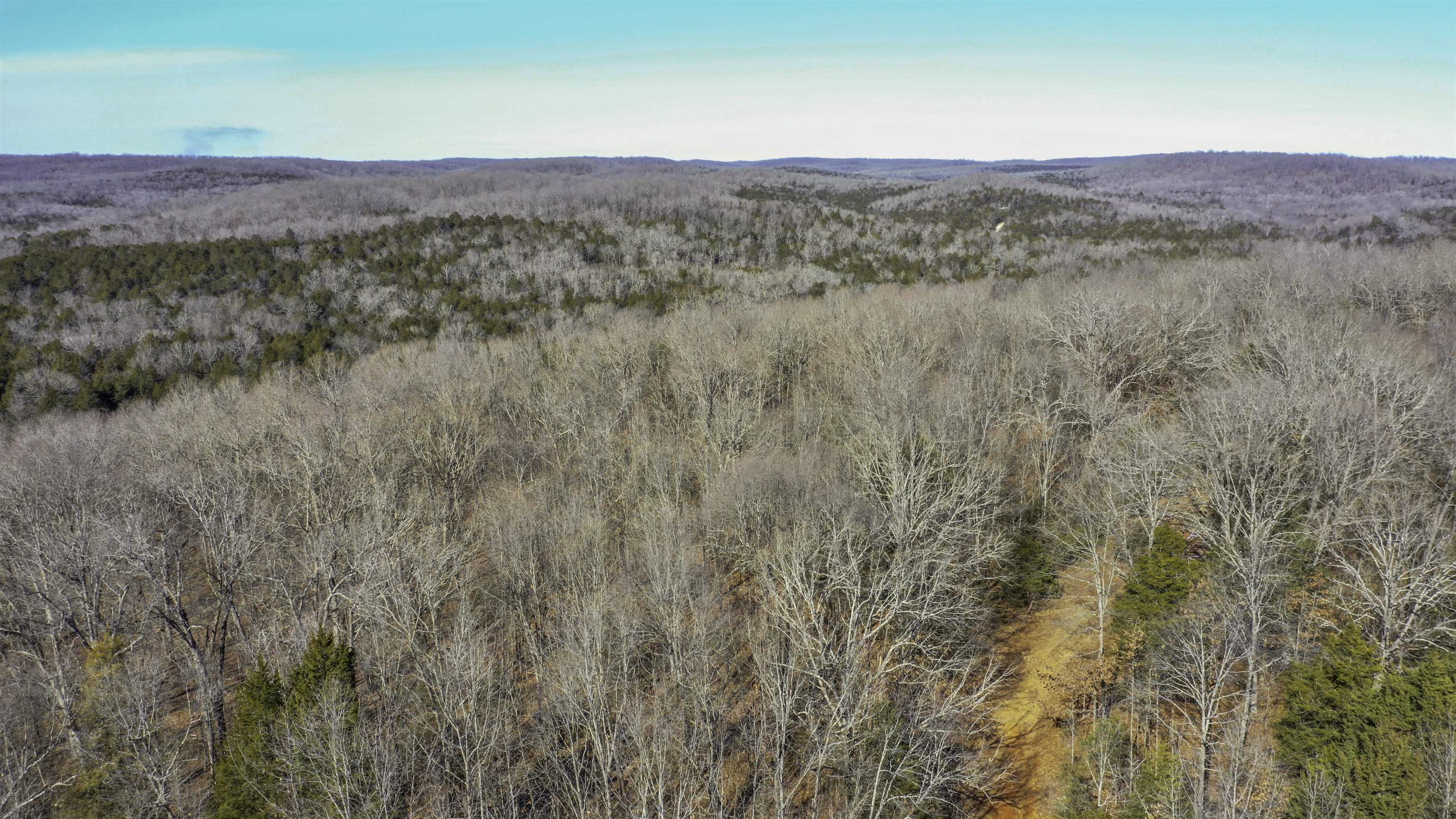 Photo 6 - Vacant Land for sale – Lot 64  Big Buck   Williford, AR