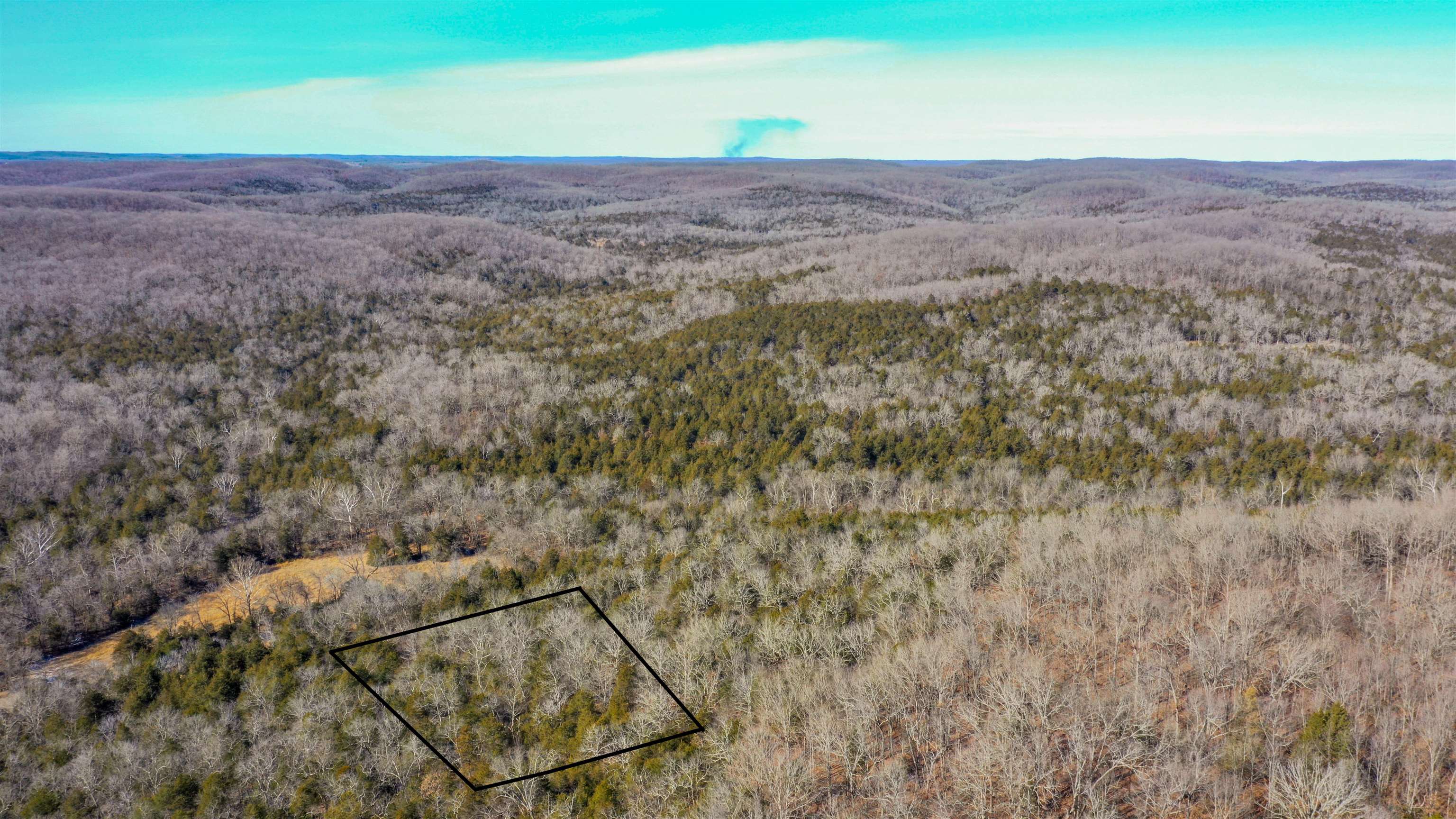 Photo 7 - Vacant Land for sale – Lot 64  Big Buck   Williford, AR