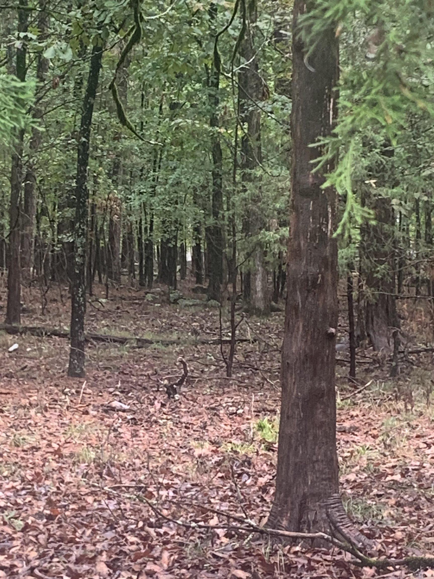 Farm/Ranch/Land for sale – Lot 52  Tannenbaum Roads   Drasco, AR