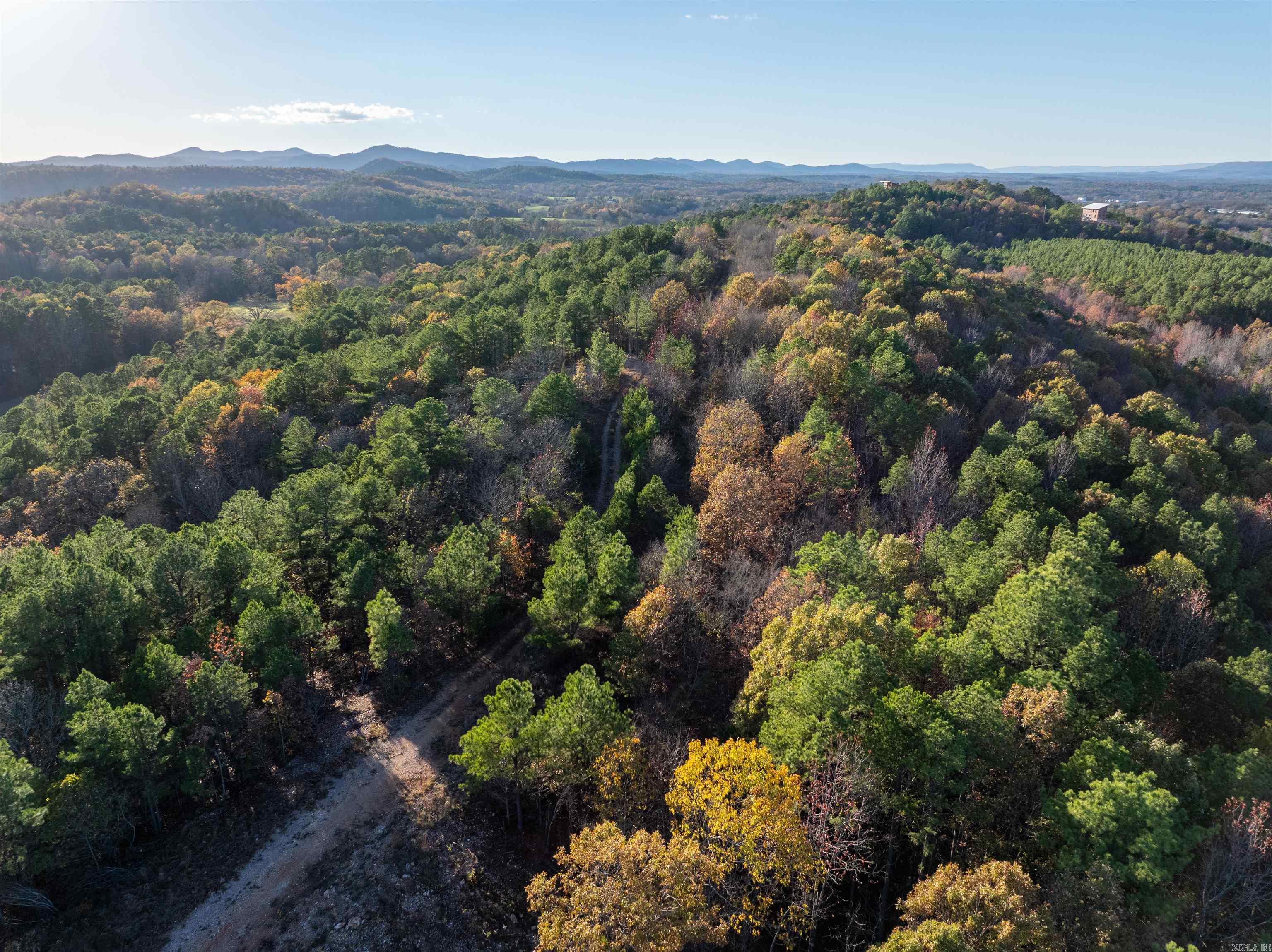 Farm/Ranch/Land for sale – TBD  Polk Road 617   Mena, AR