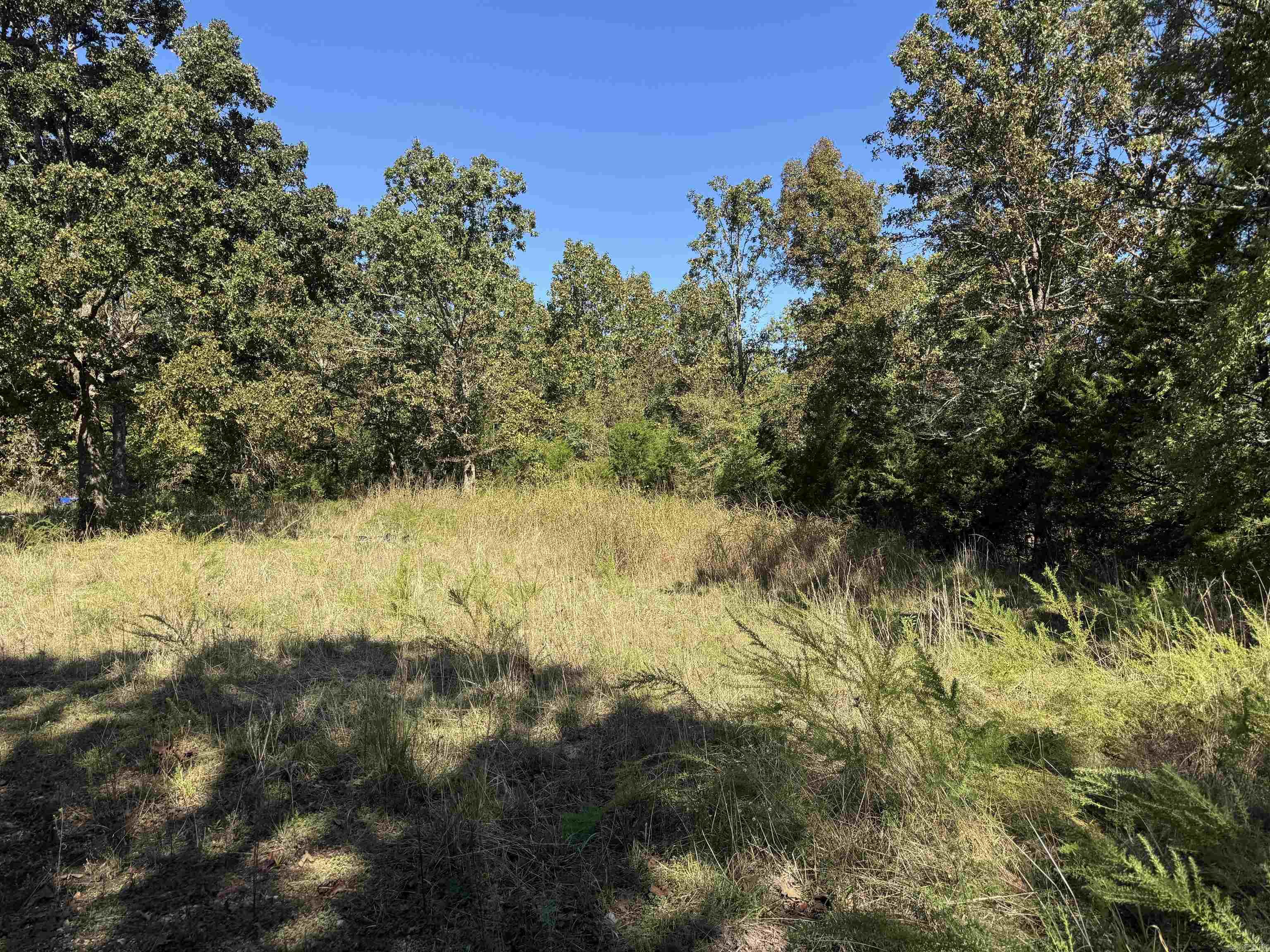 Vacant Land for sale – 919  Country Spring   Salem, AR