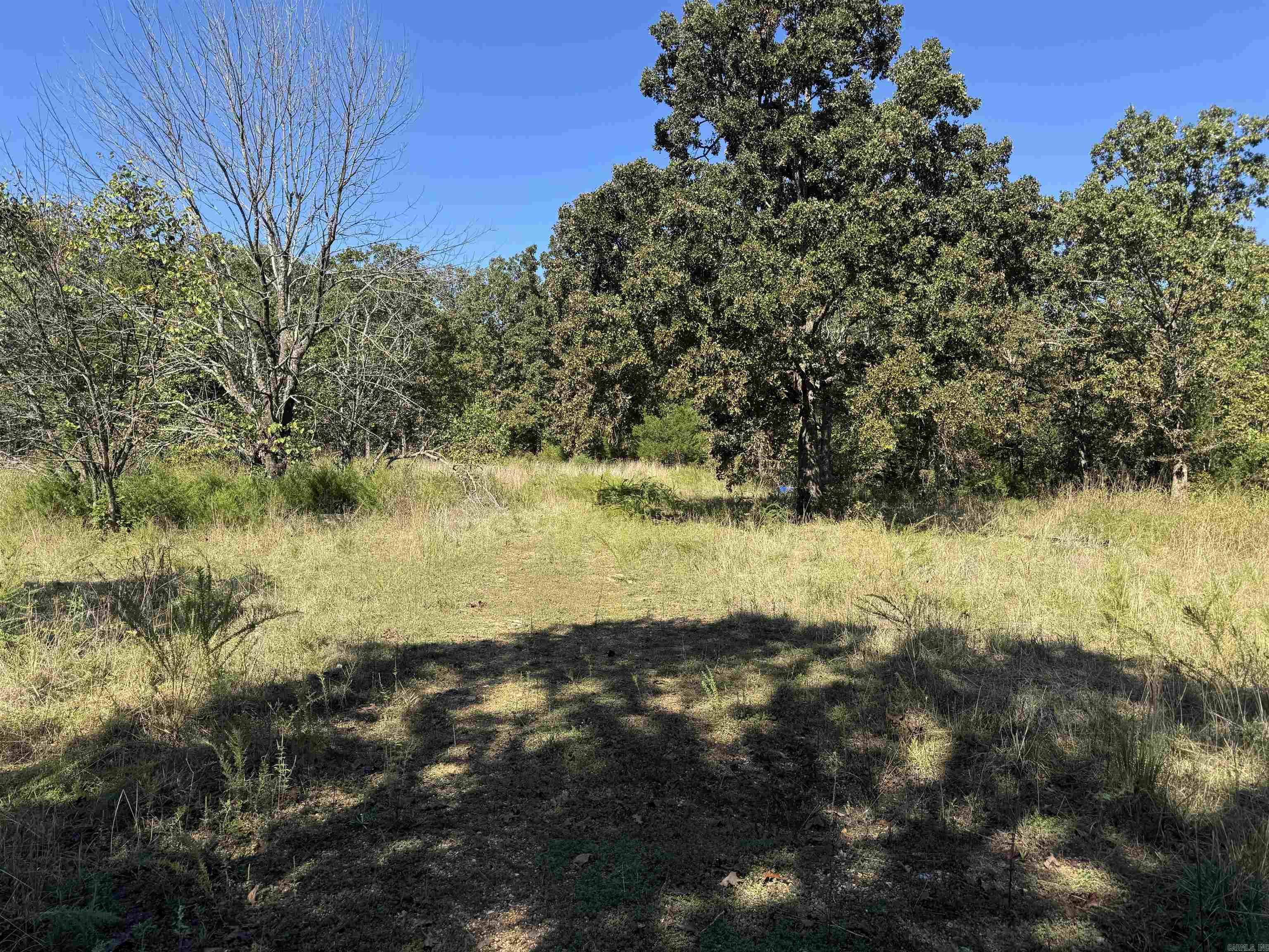 Photo 2 - Vacant Land for sale – 919  Country Spring   Salem, AR