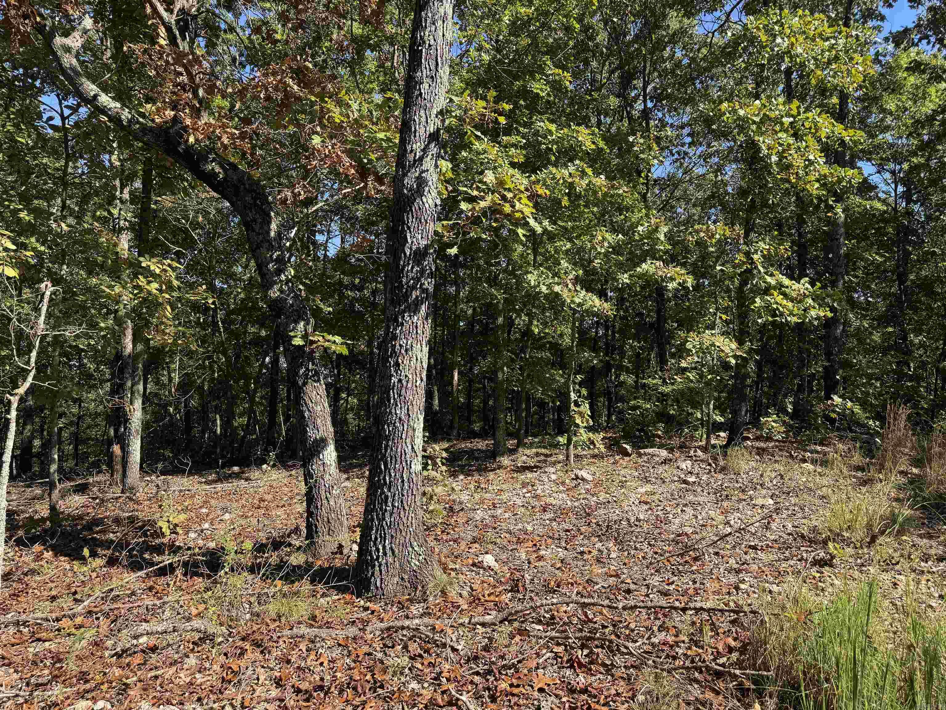 Photo 11 - Vacant Land for sale – 919  Country Spring   Salem, AR