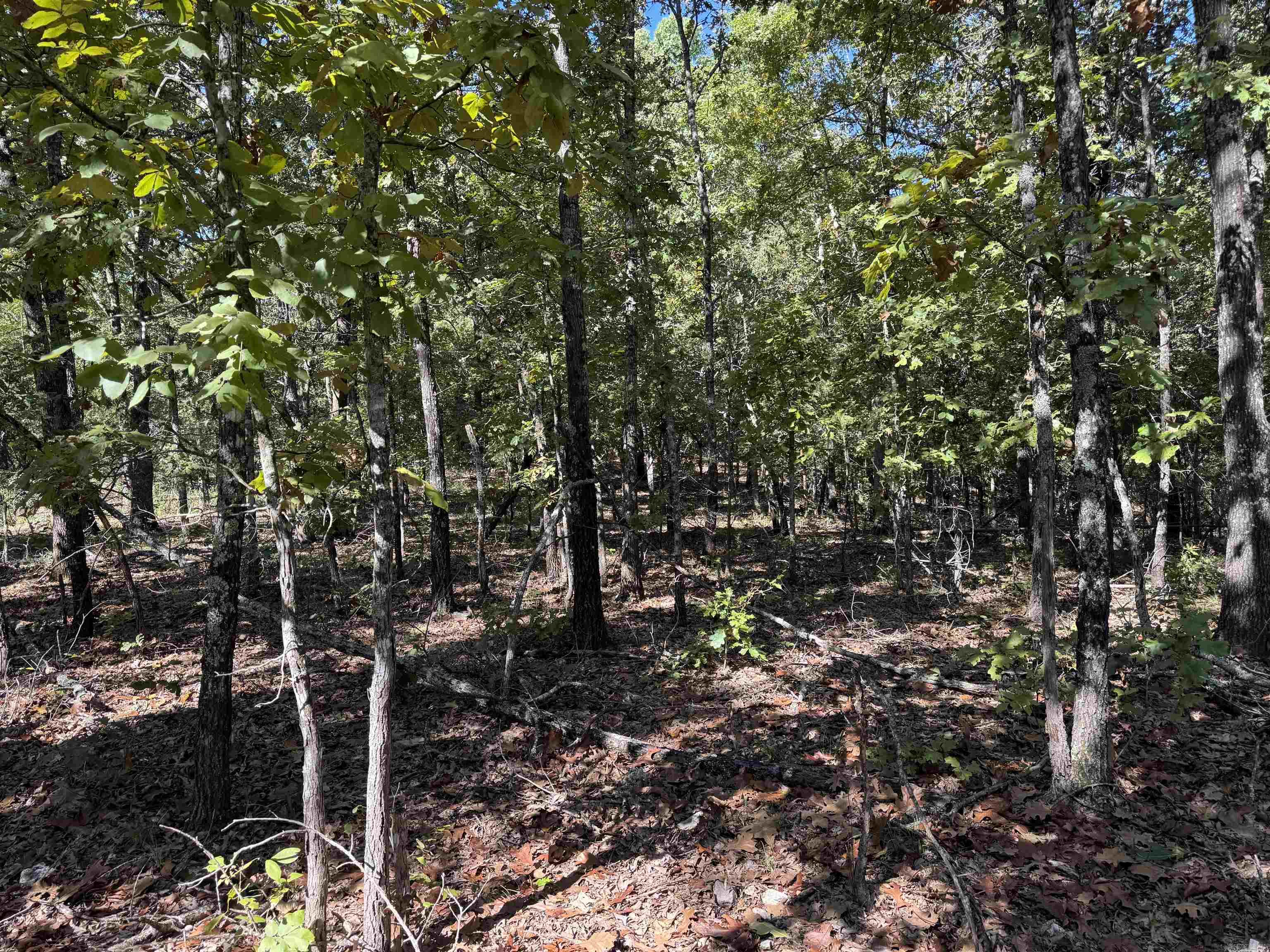 Photo 12 - Vacant Land for sale – 919  Country Spring   Salem, AR