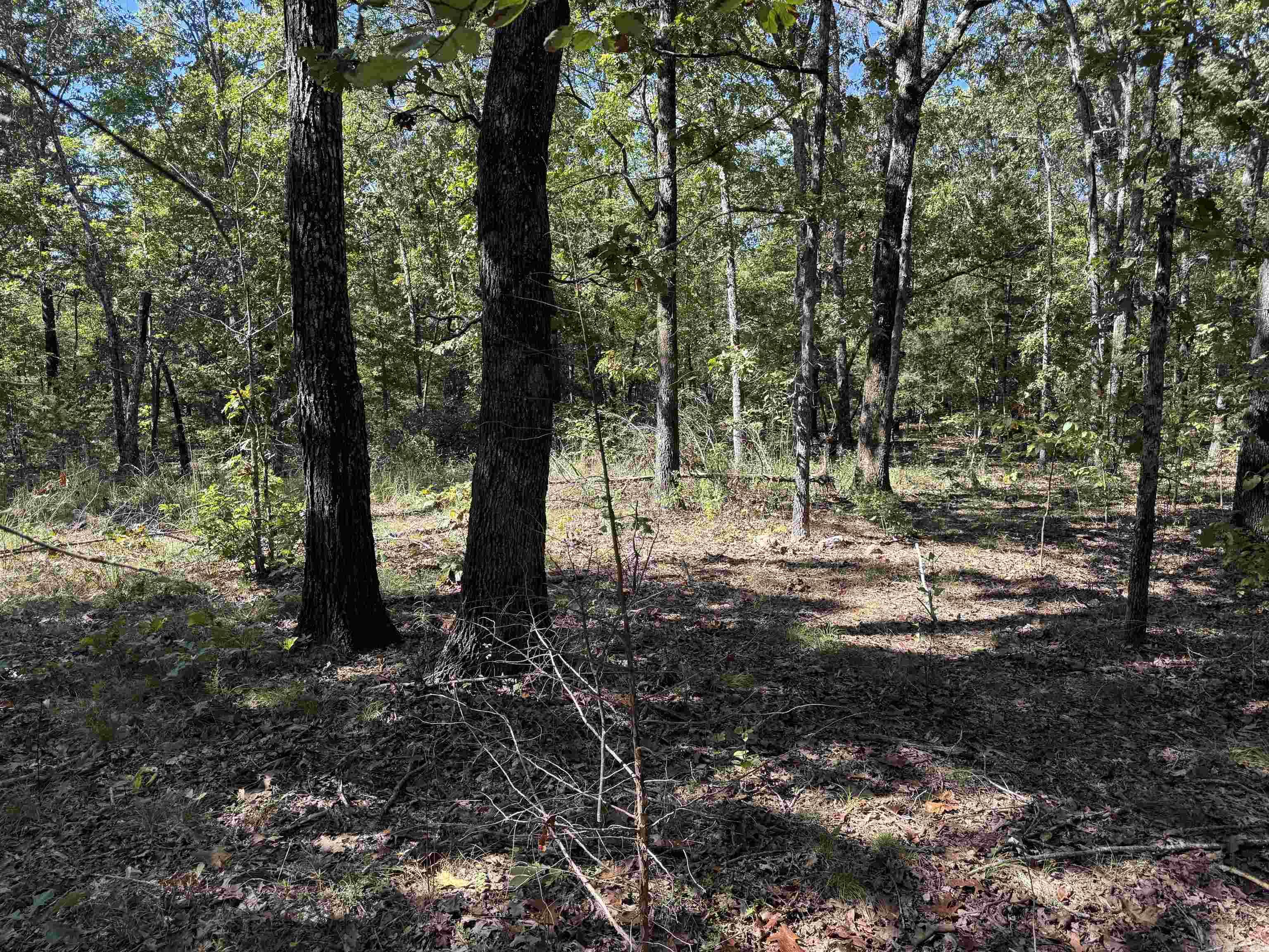 Photo 13 - Vacant Land for sale – 919  Country Spring   Salem, AR