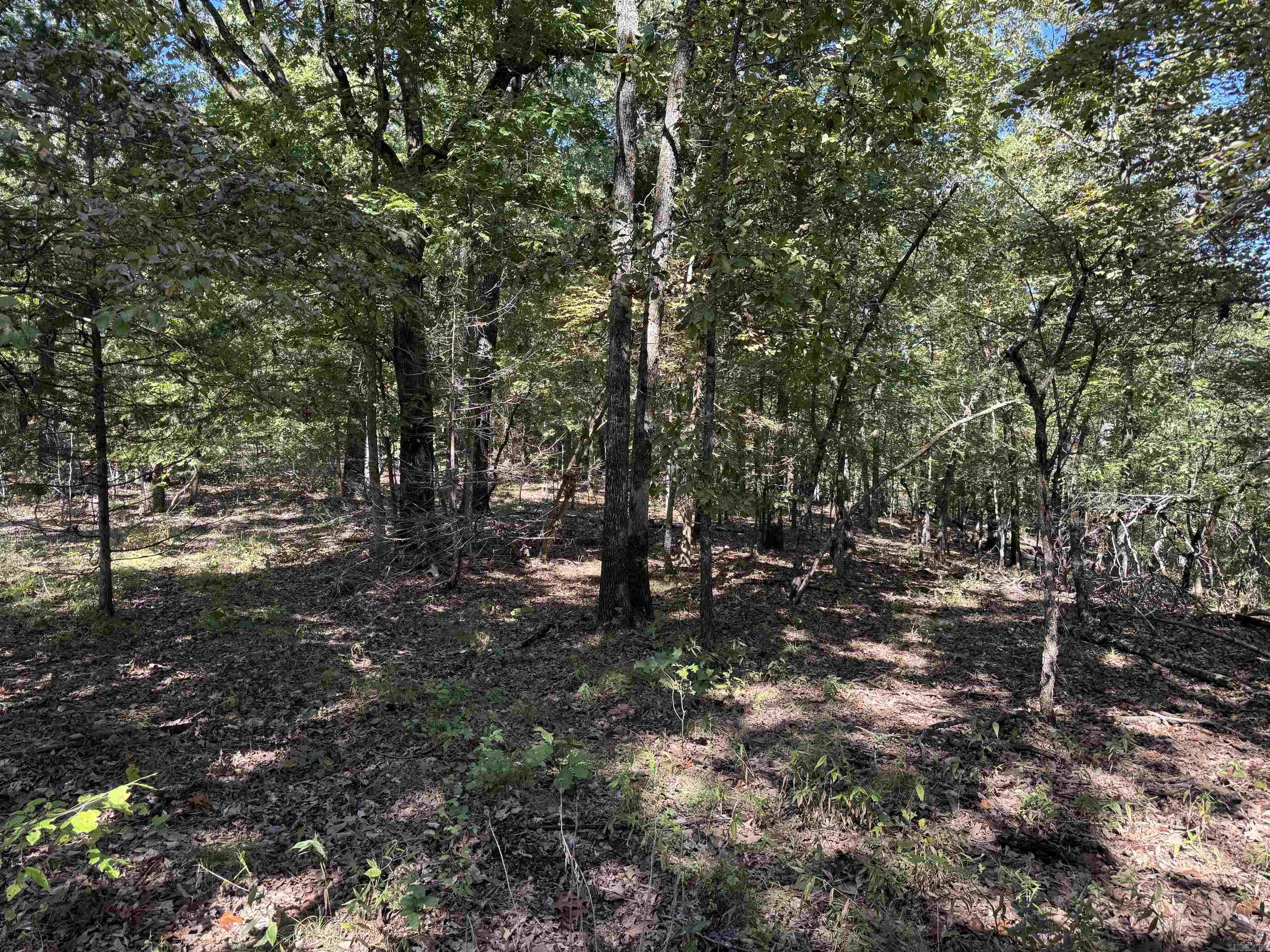 Photo 14 - Vacant Land for sale – 919  Country Spring   Salem, AR
