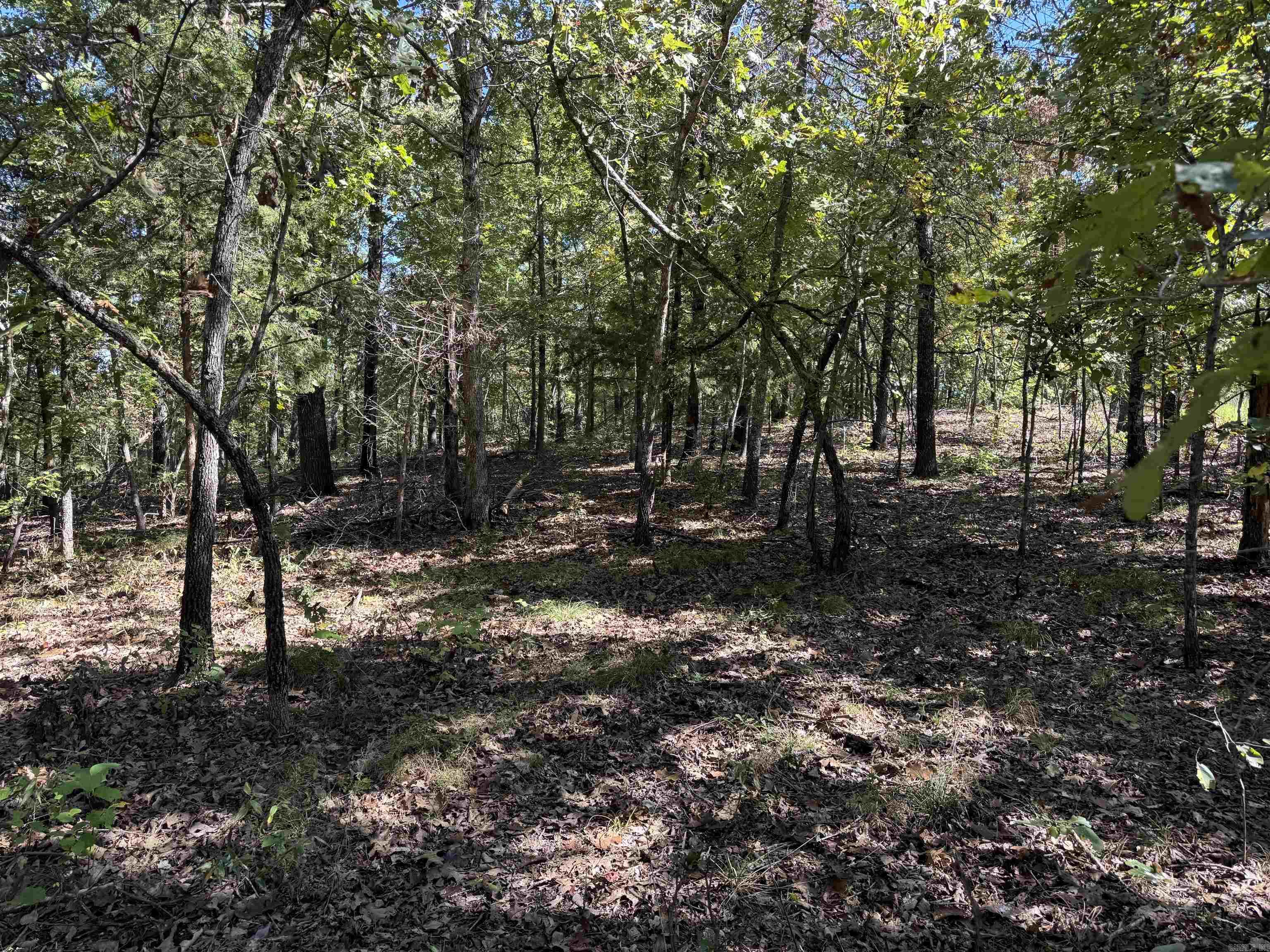 Photo 15 - Vacant Land for sale – 919  Country Spring   Salem, AR