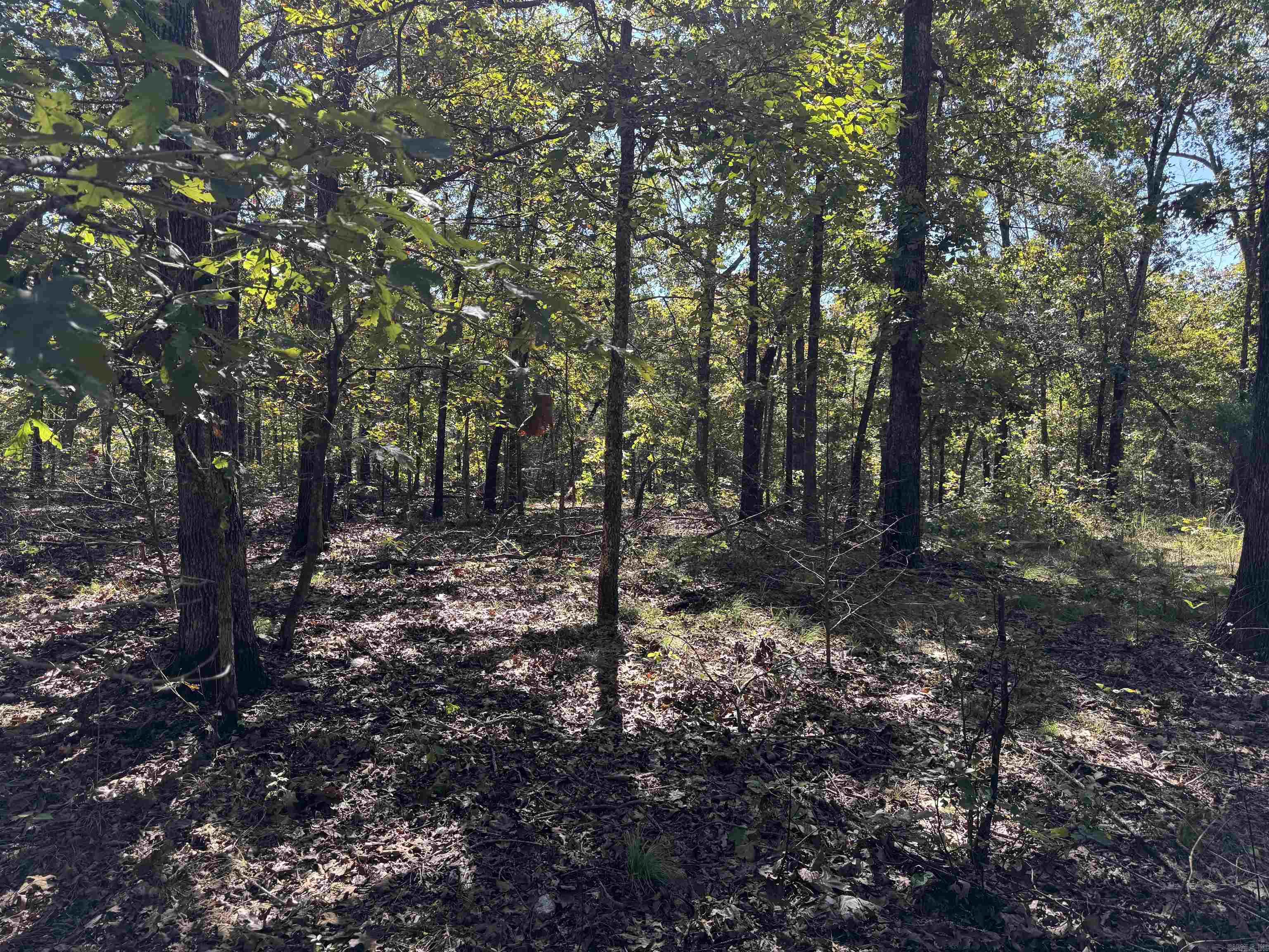 Photo 16 - Vacant Land for sale – 919  Country Spring   Salem, AR