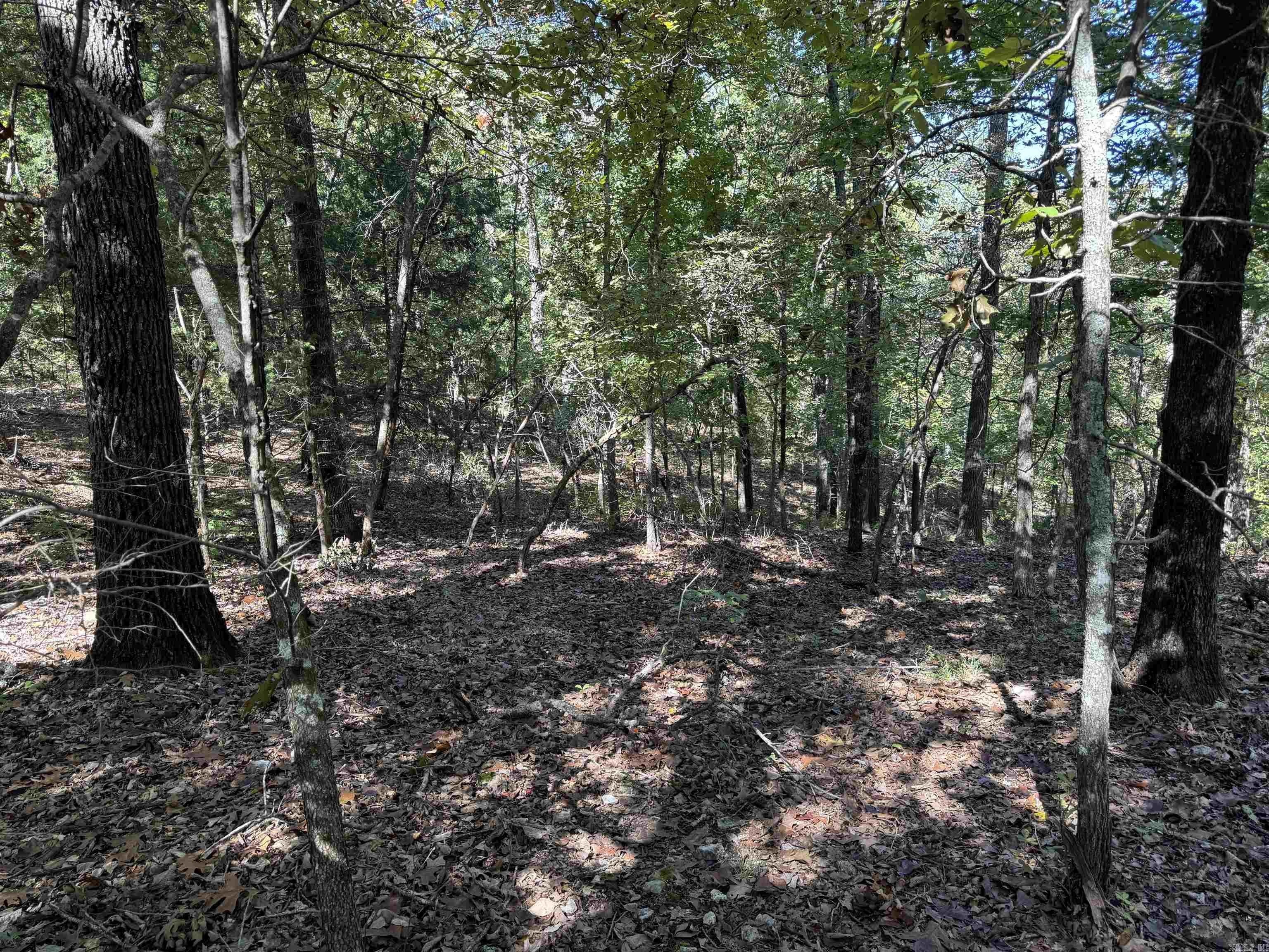 Photo 17 - Vacant Land for sale – 919  Country Spring   Salem, AR