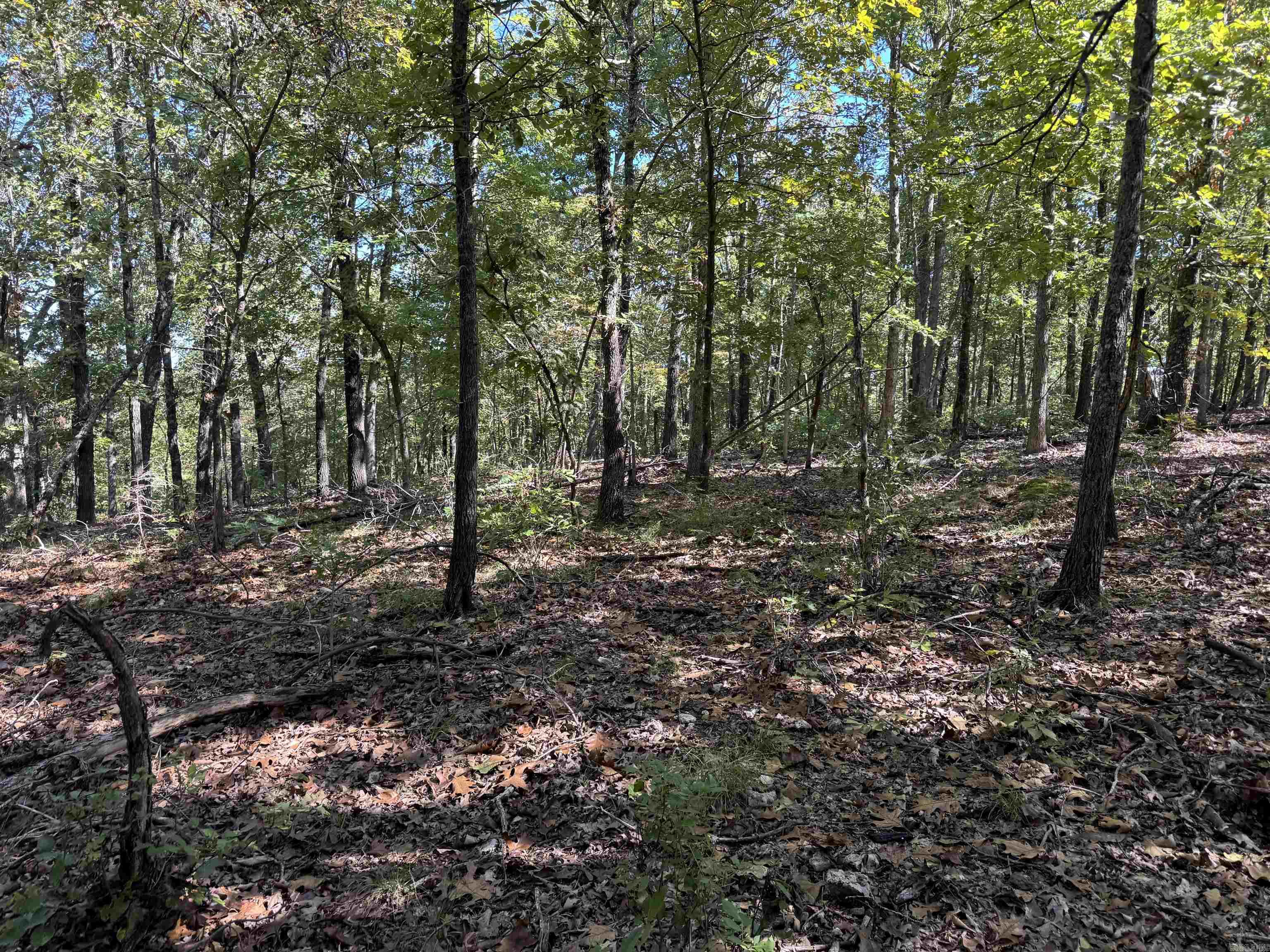 Photo 18 - Vacant Land for sale – 919  Country Spring   Salem, AR