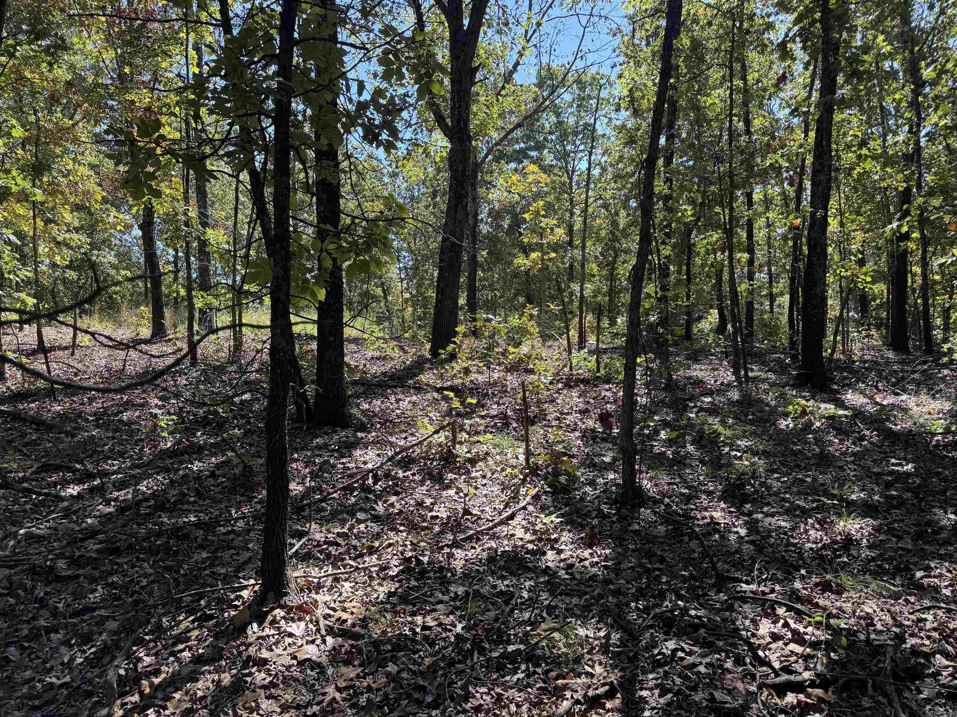 Photo 19 - Vacant Land for sale – 919  Country Spring   Salem, AR