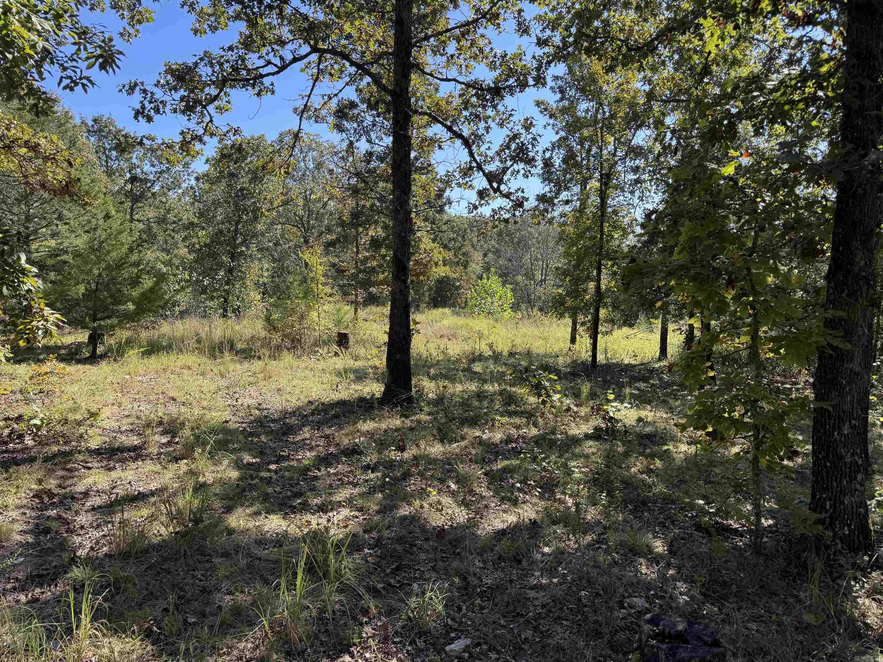 Photo 20 - Vacant Land for sale – 919  Country Spring   Salem, AR