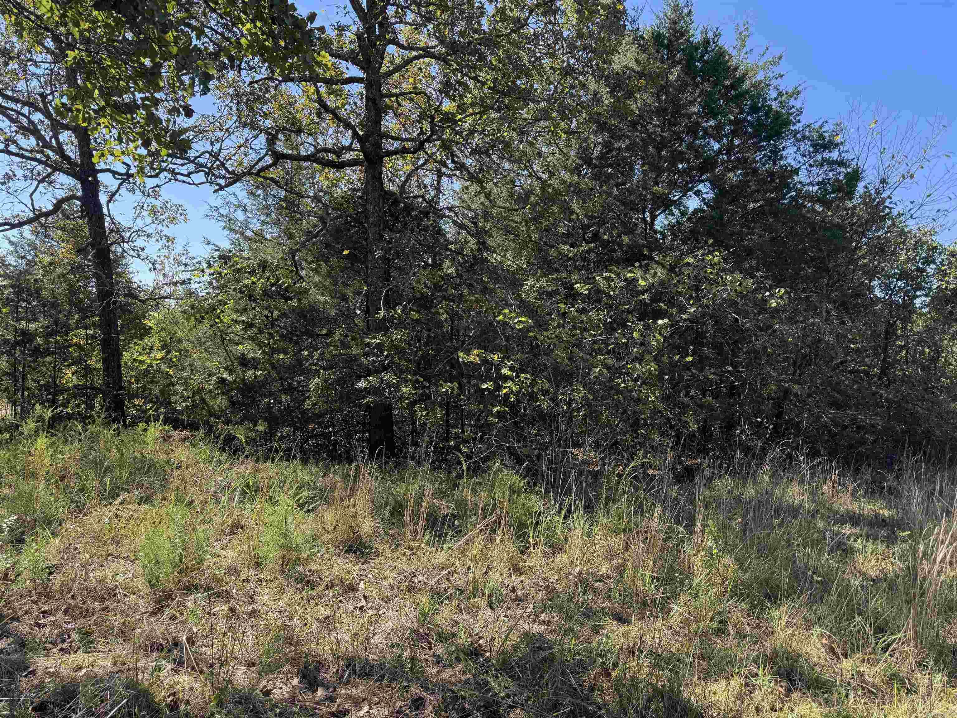 Photo 3 - Vacant Land for sale – 919  Country Spring   Salem, AR
