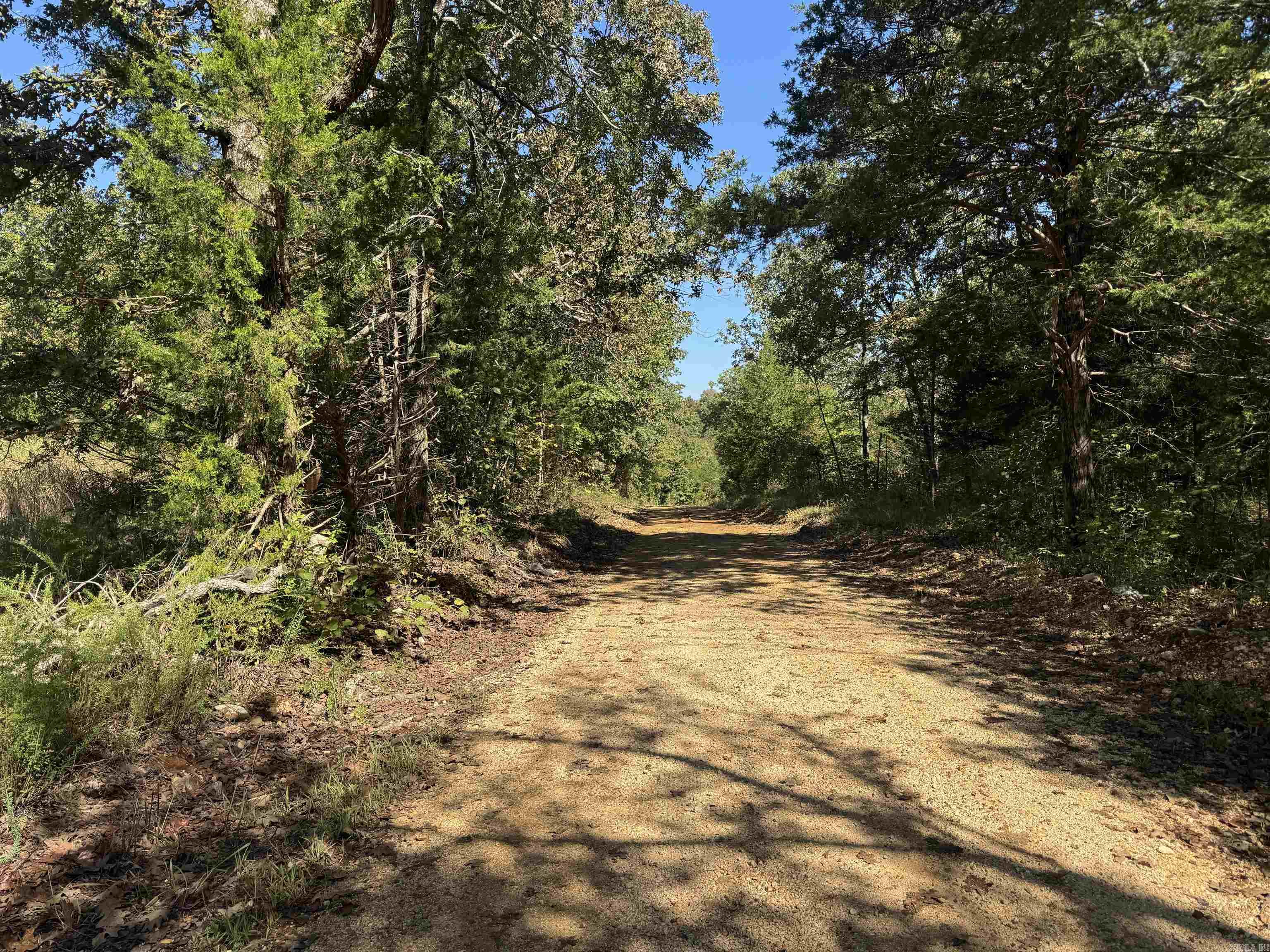 Photo 21 - Vacant Land for sale – 919  Country Spring   Salem, AR