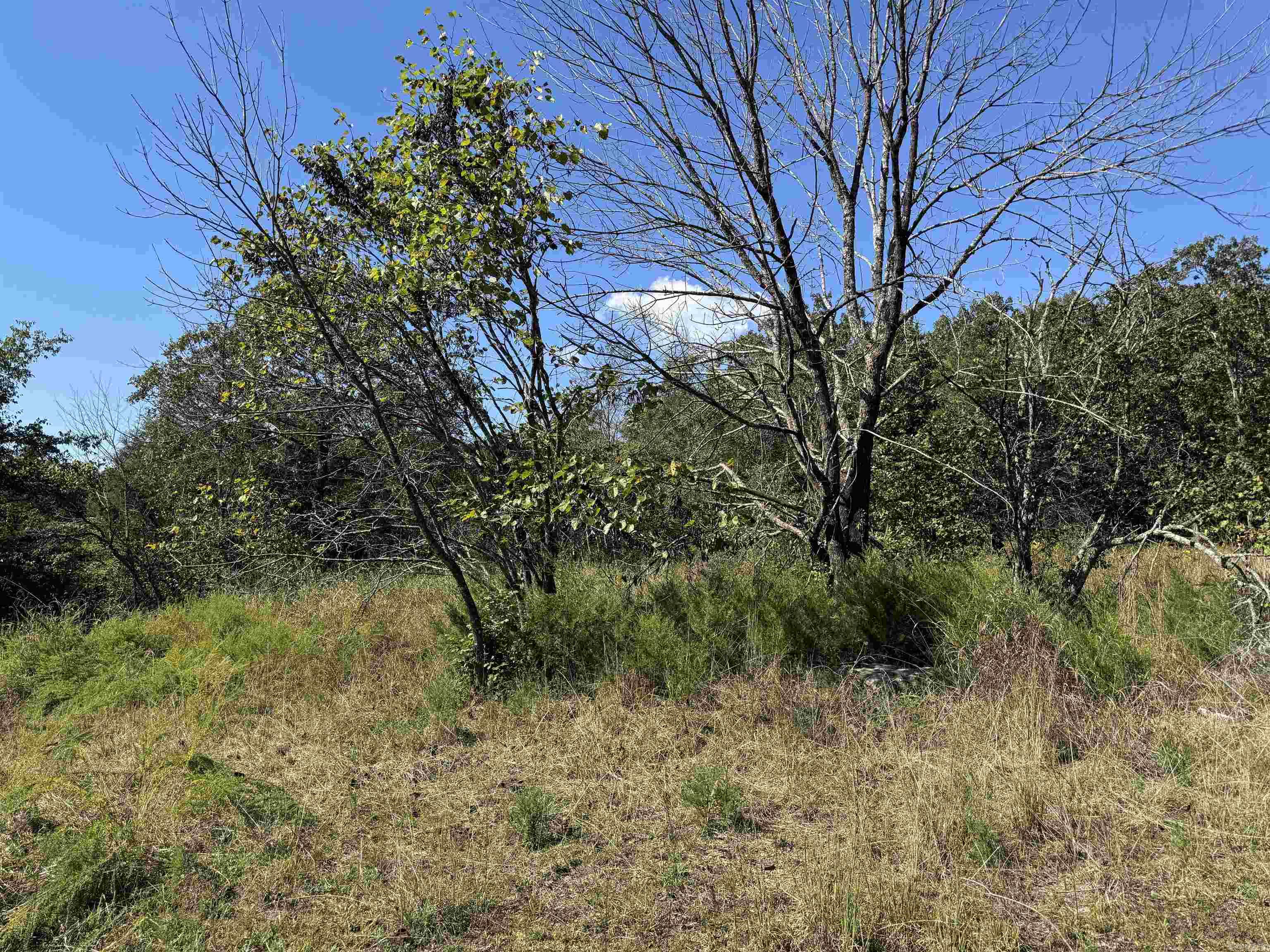 Photo 4 - Vacant Land for sale – 919  Country Spring   Salem, AR