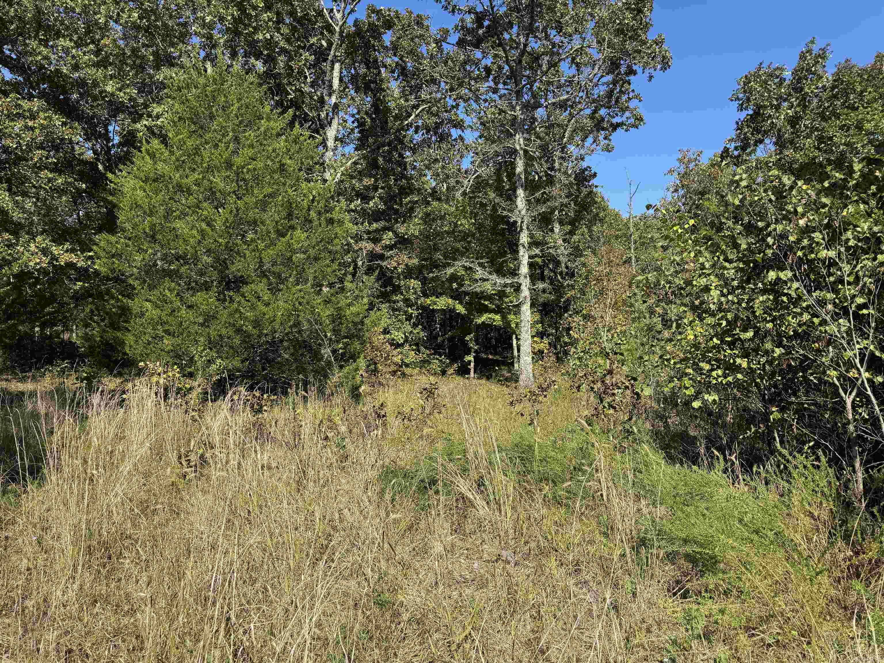 Photo 5 - Vacant Land for sale – 919  Country Spring   Salem, AR