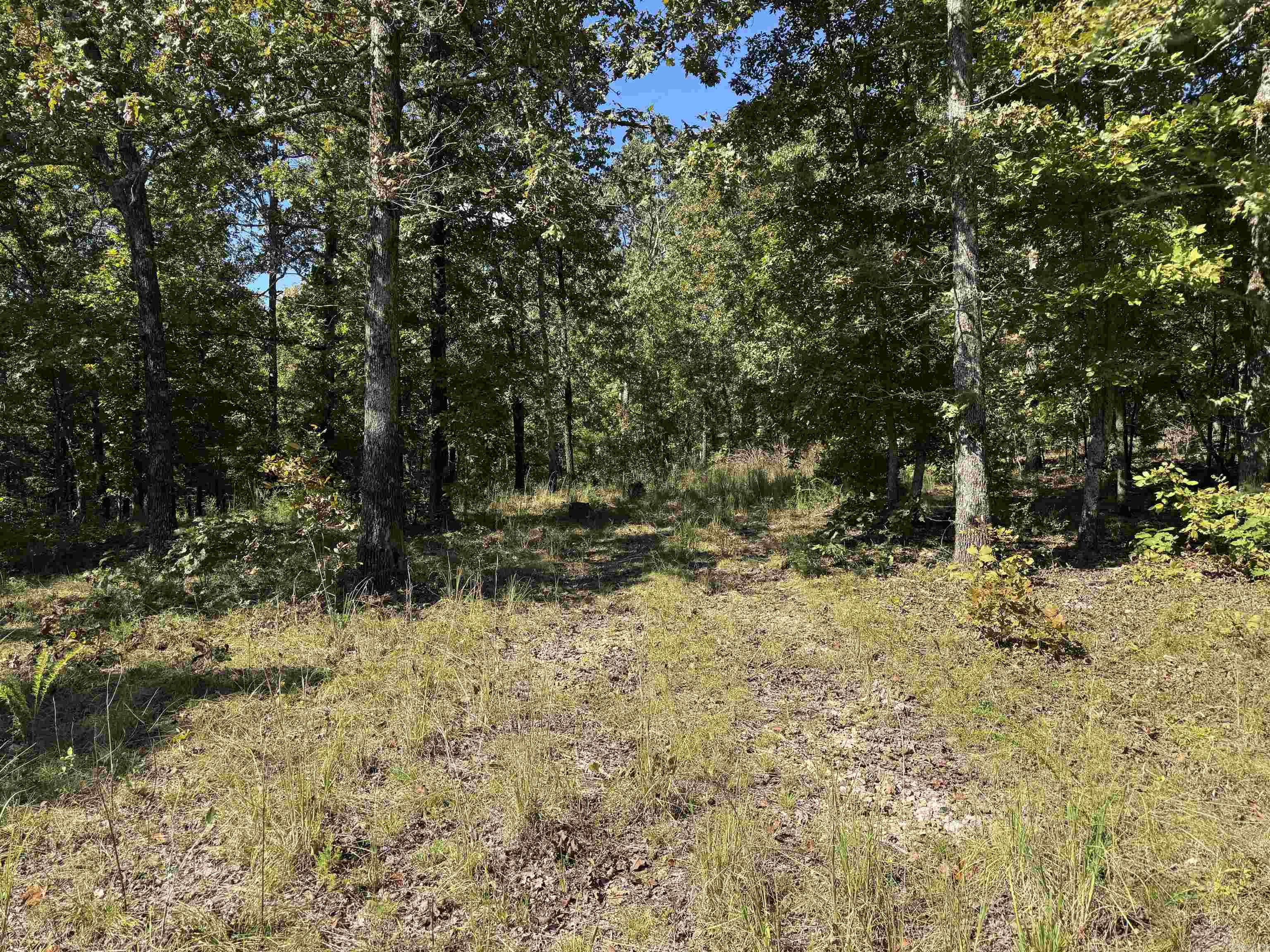 Photo 6 - Vacant Land for sale – 919  Country Spring   Salem, AR