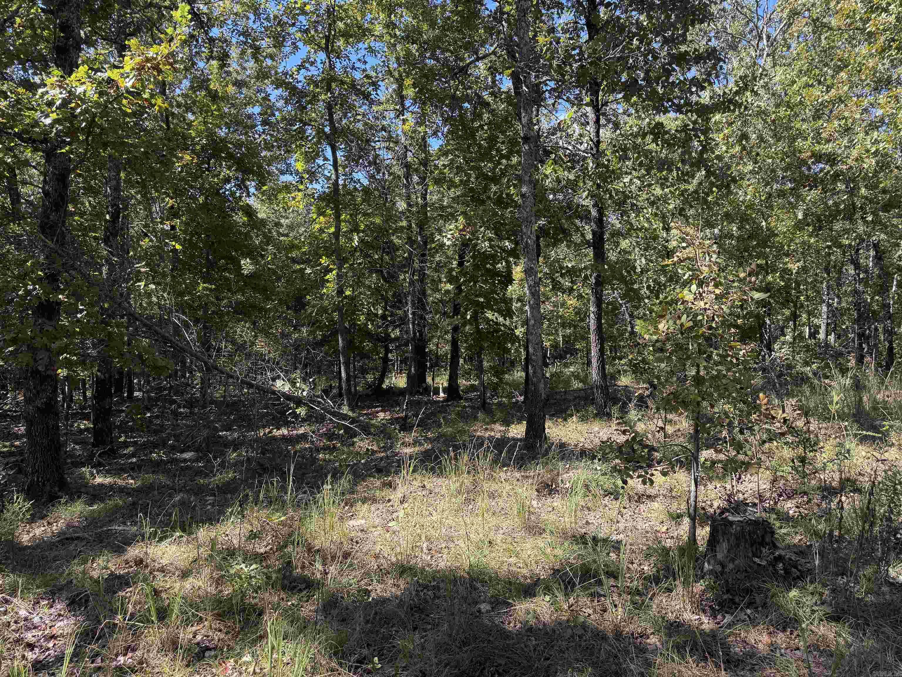 Photo 7 - Vacant Land for sale – 919  Country Spring   Salem, AR