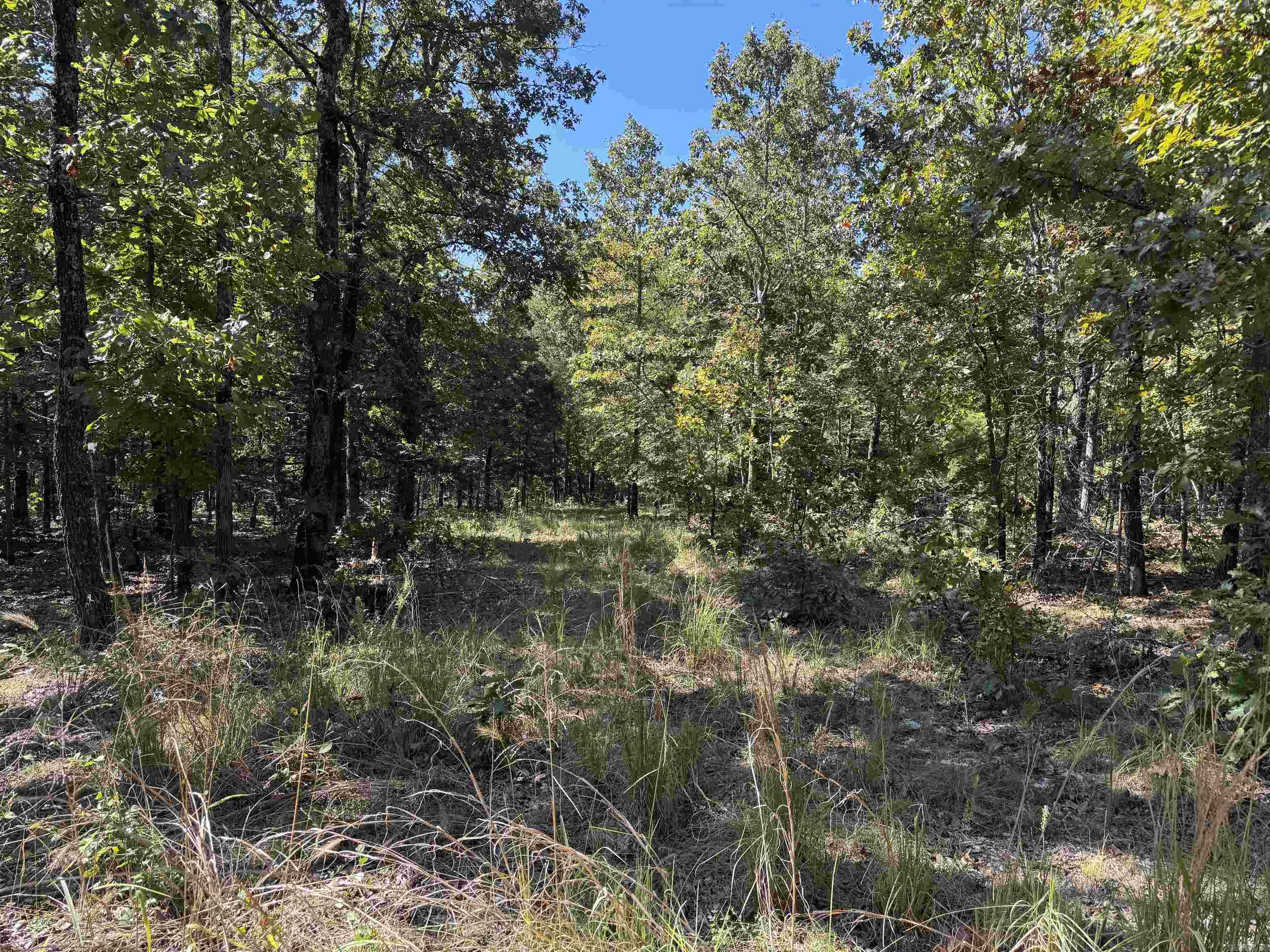 Photo 8 - Vacant Land for sale – 919  Country Spring   Salem, AR