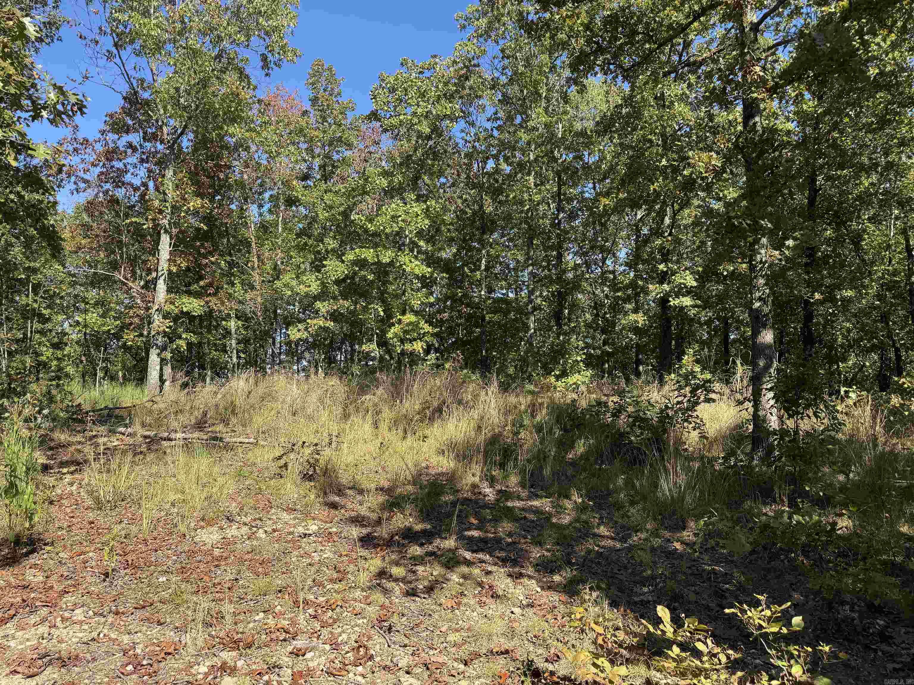 Photo 9 - Vacant Land for sale – 919  Country Spring   Salem, AR