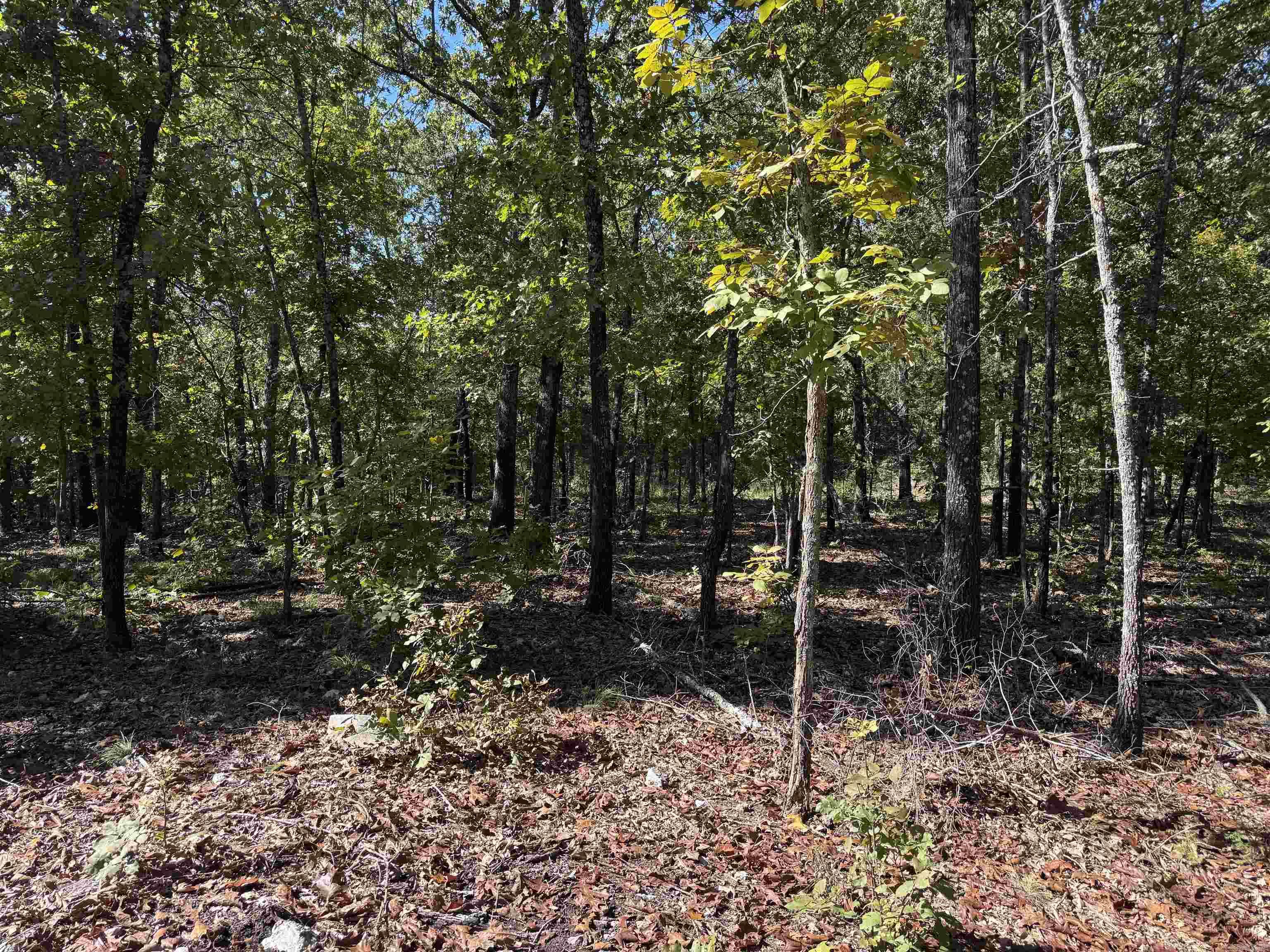 Photo 10 - Vacant Land for sale – 919  Country Spring   Salem, AR