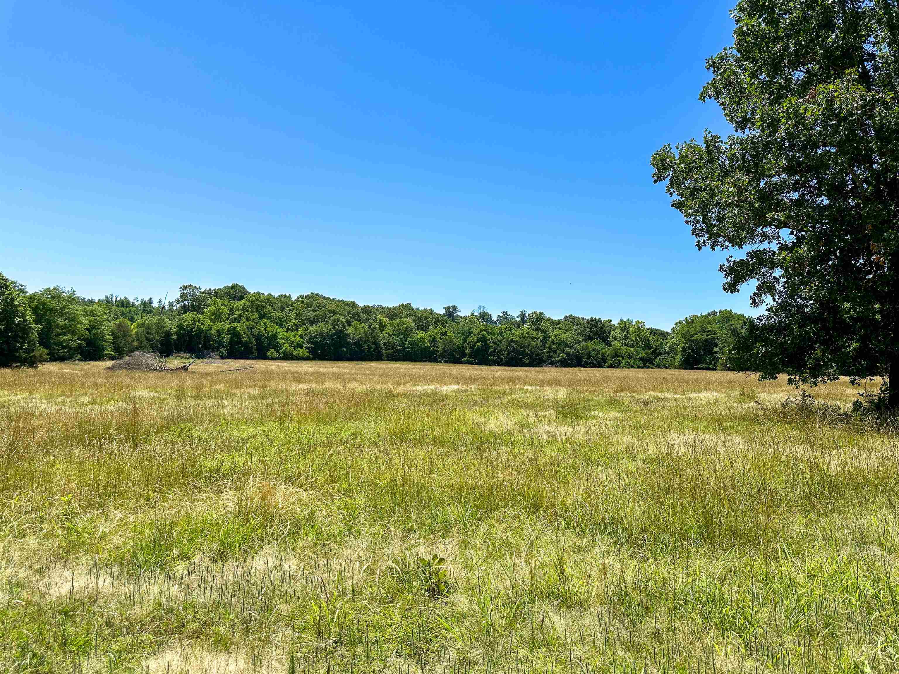 Photo 18 - Vacant Land for sale – 4115  Johnson View   Wiseman, AR