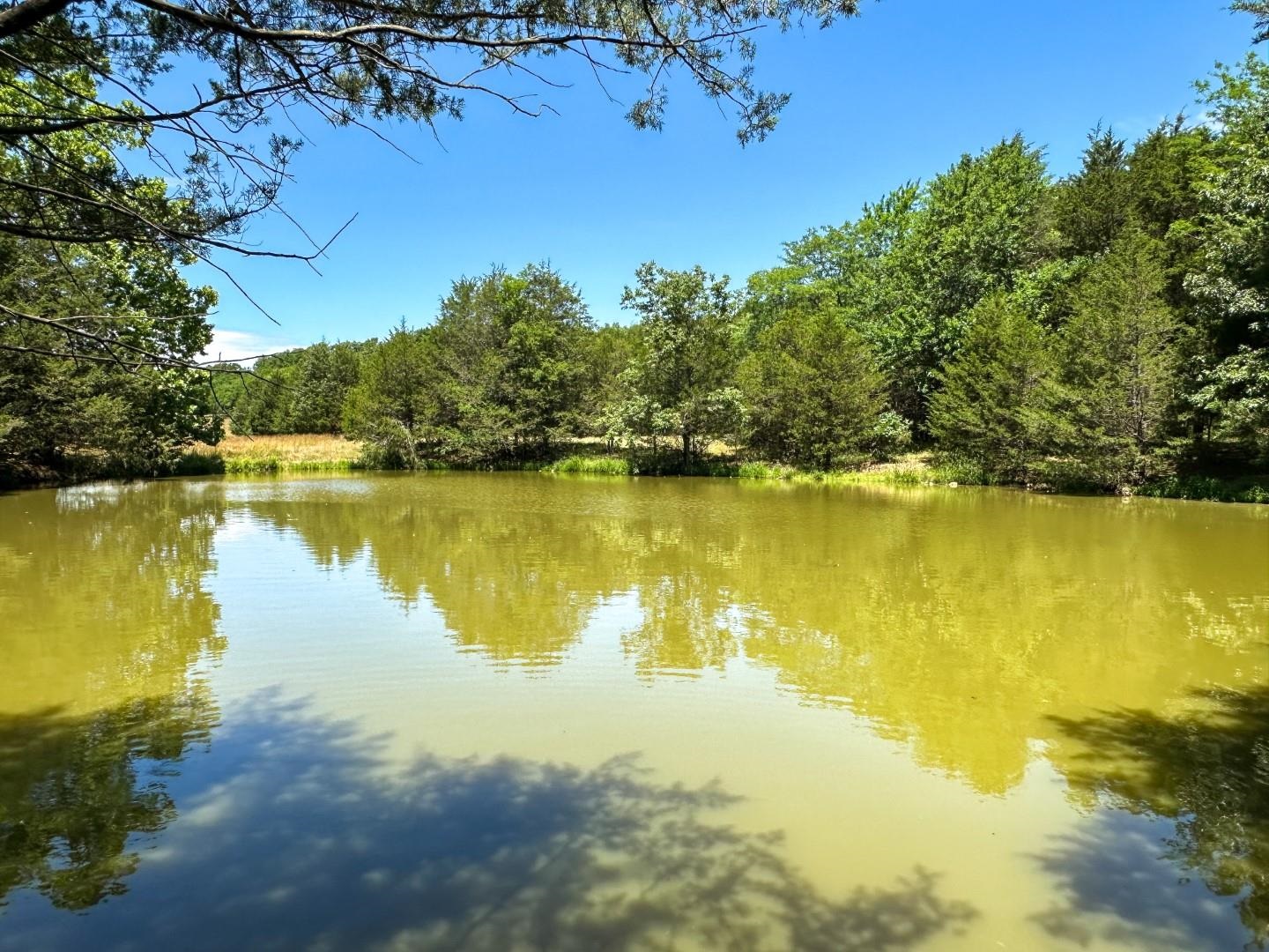 Photo 30 - Vacant Land for sale – 4115  Johnson View   Wiseman, AR