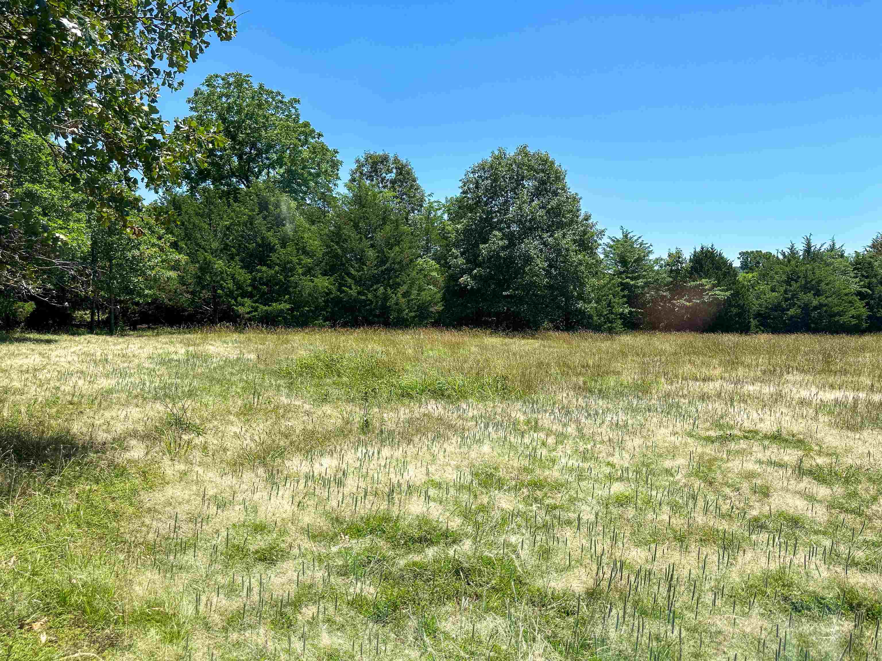Photo 9 - Vacant Land for sale – 4115  Johnson View   Wiseman, AR